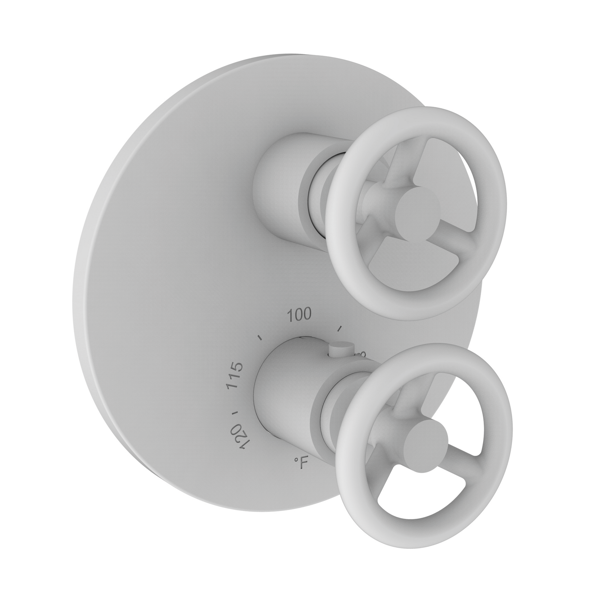 Newport Brass Slater® 1/2" Round Thermostatic Trim Plate with Handle