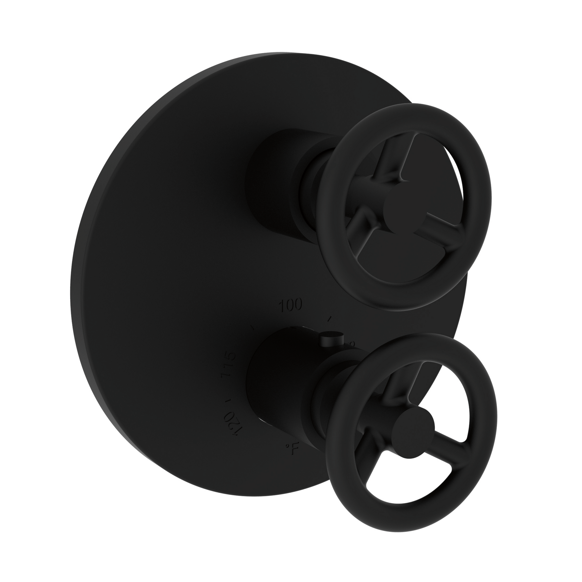 Newport Brass Slater® 1/2" Round Thermostatic Trim Plate with Handle