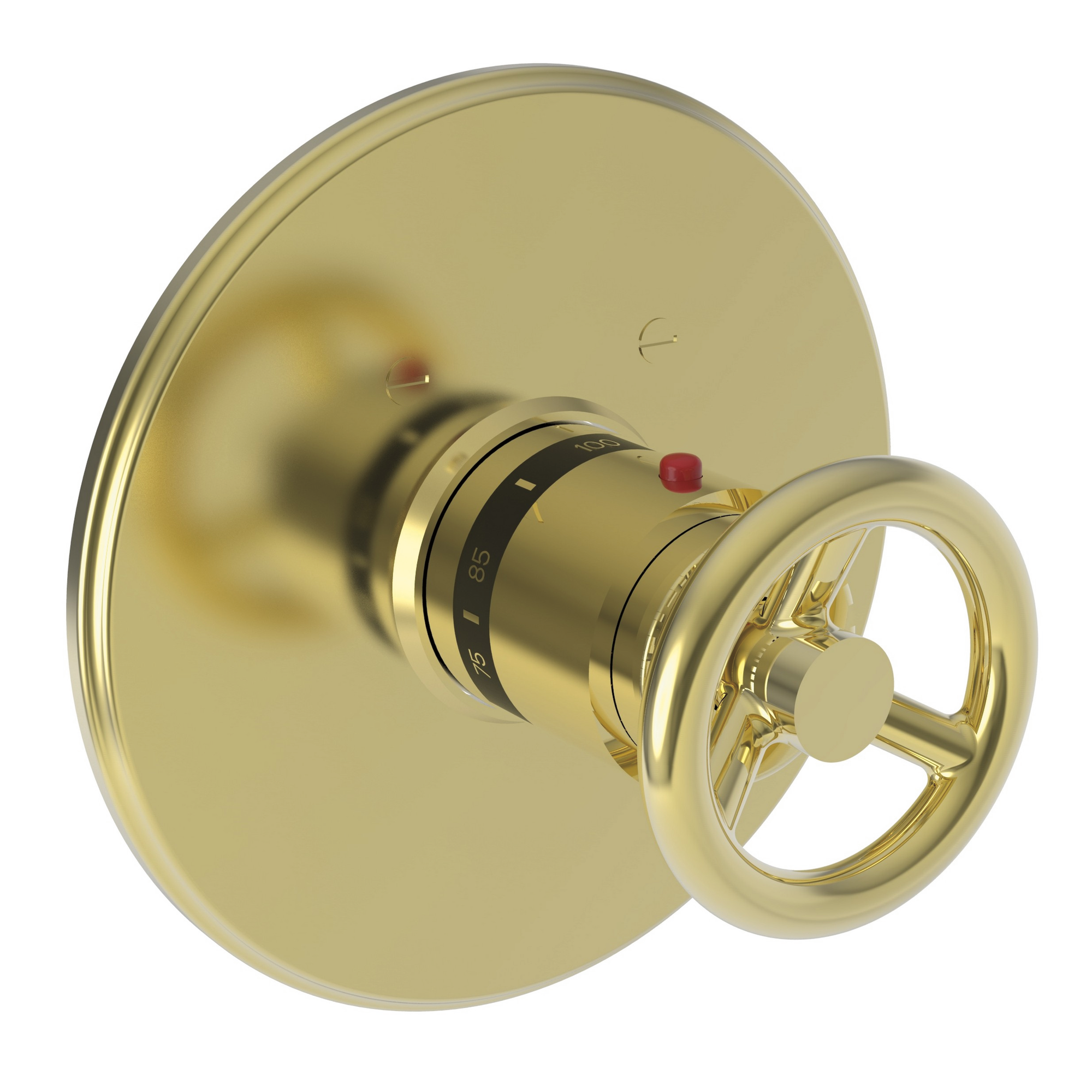 Newport Brass Slater® 3/4" Round Thermostatic Trim Plate with Handle