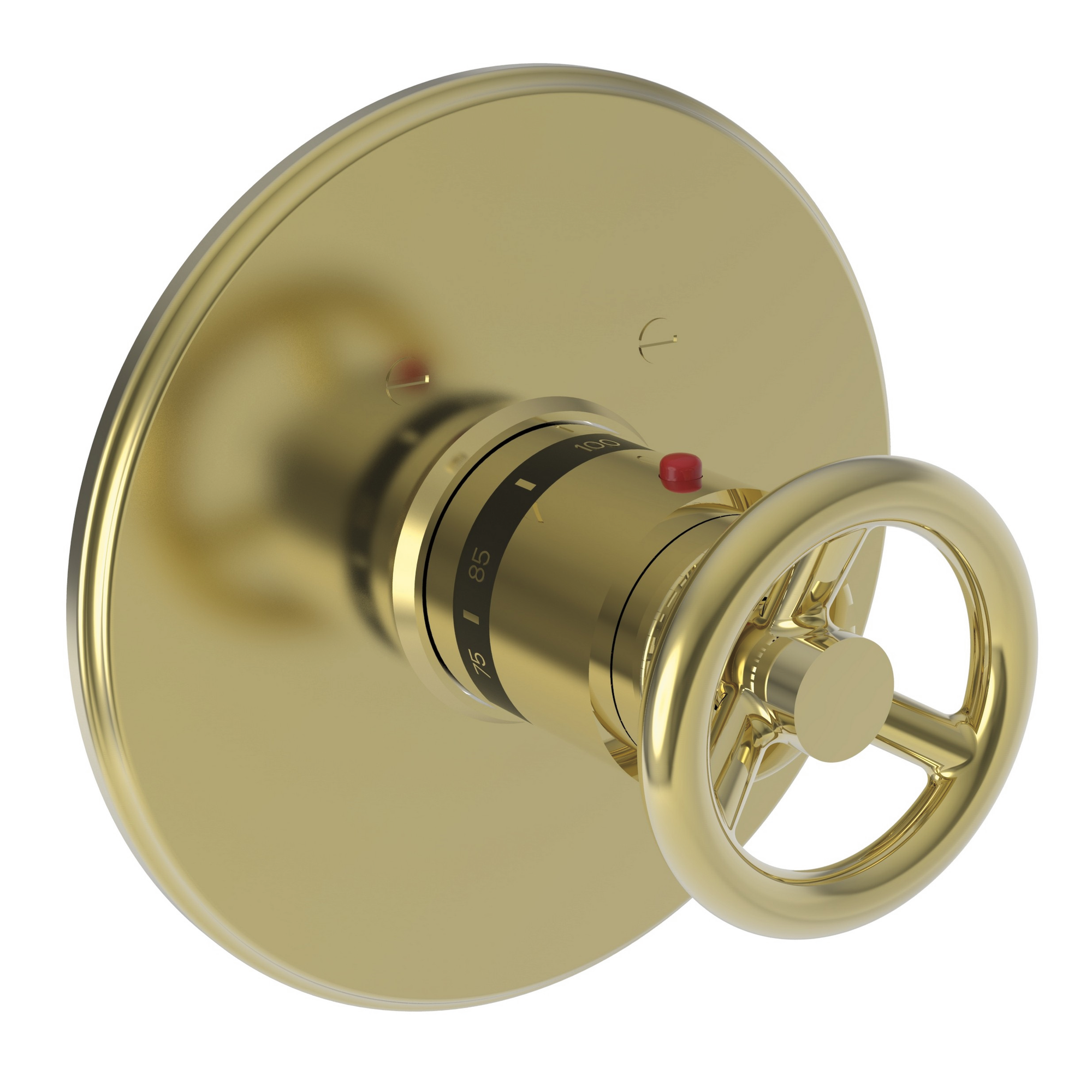 Newport Brass Slater® 3/4" Round Thermostatic Trim Plate with Handle