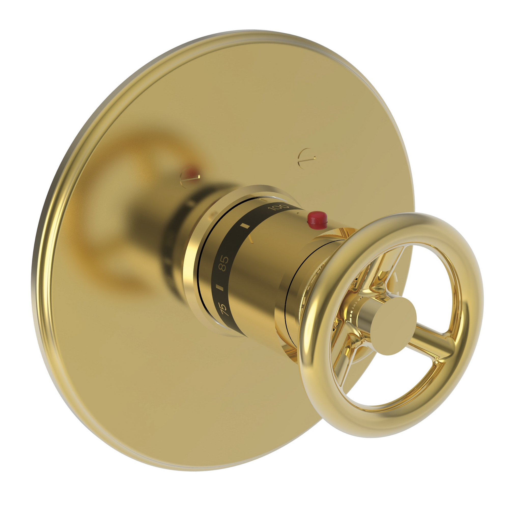 Newport Brass Slater® 3/4" Round Thermostatic Trim Plate with Handle