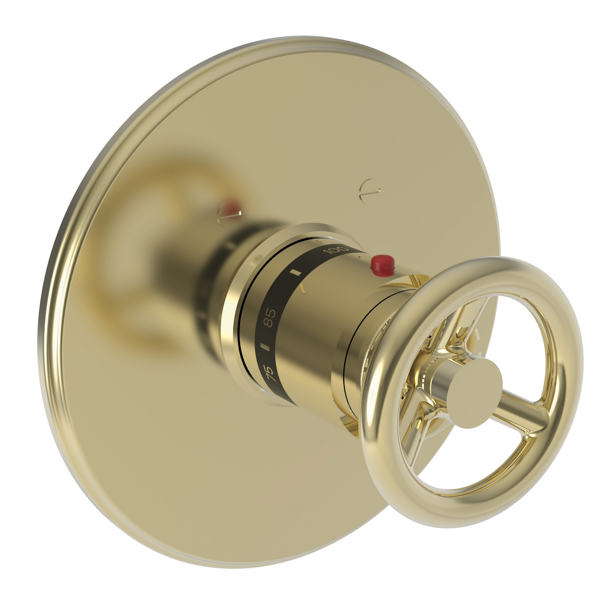 Newport Brass Slater® 3/4" Round Thermostatic Trim Plate with Handle