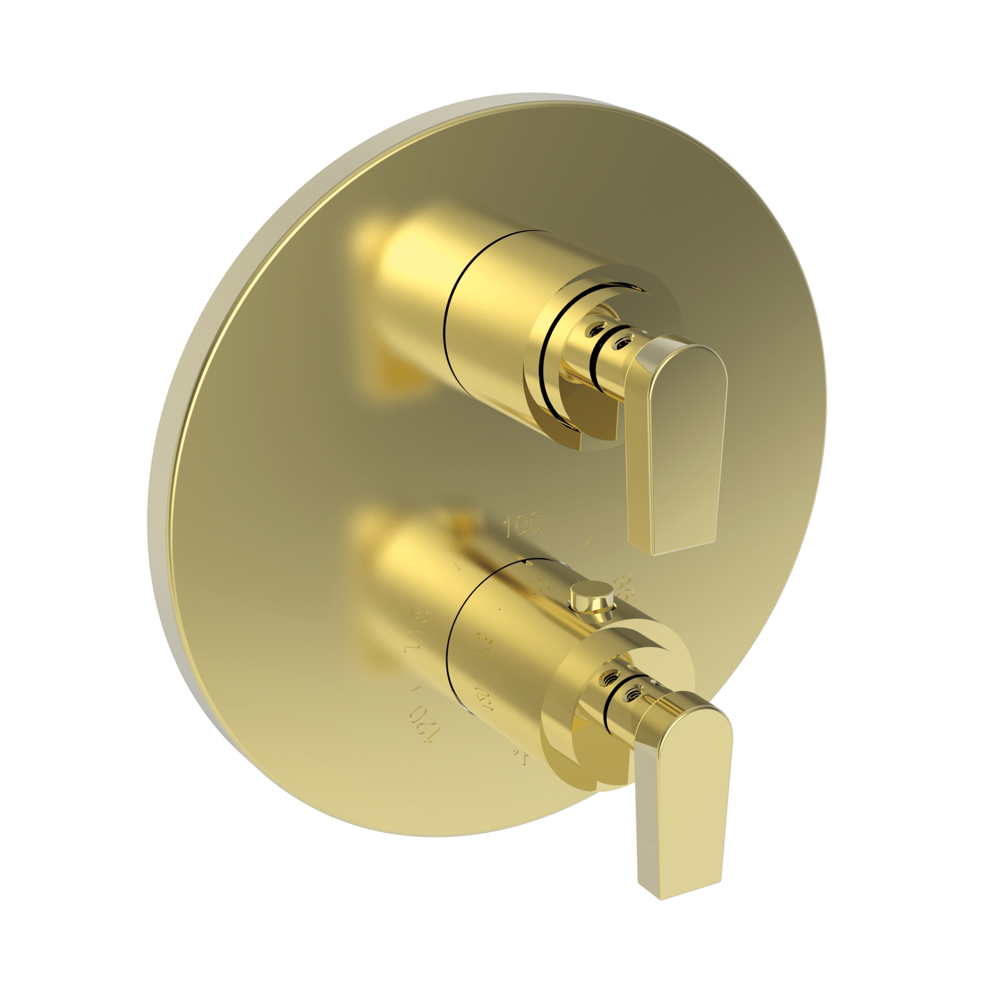 Newport Brass Dorrance® 1/2" Round Thermostatic Trim Plate with Handle