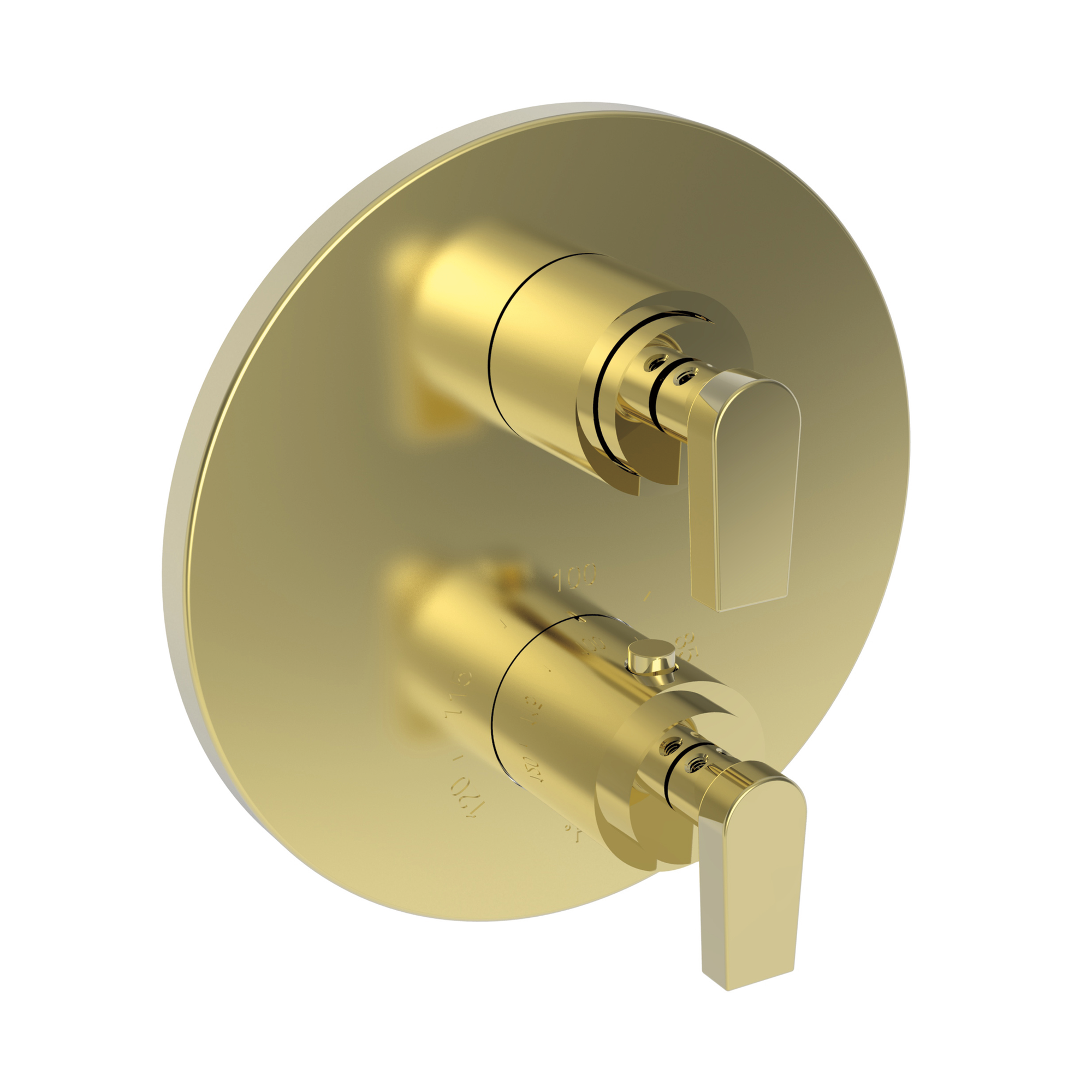 Newport Brass Dorrance® 1/2" Round Thermostatic Trim Plate with Handle