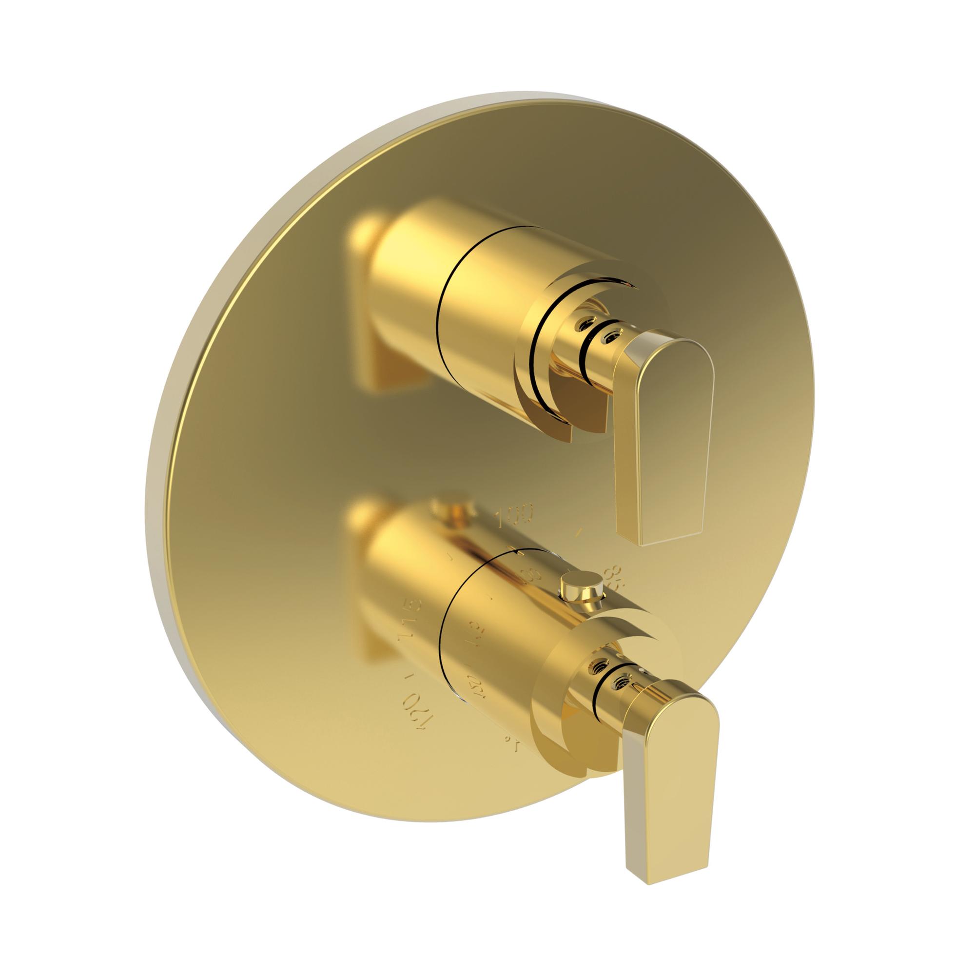 Newport Brass Dorrance® 1/2" Round Thermostatic Trim Plate with Handle