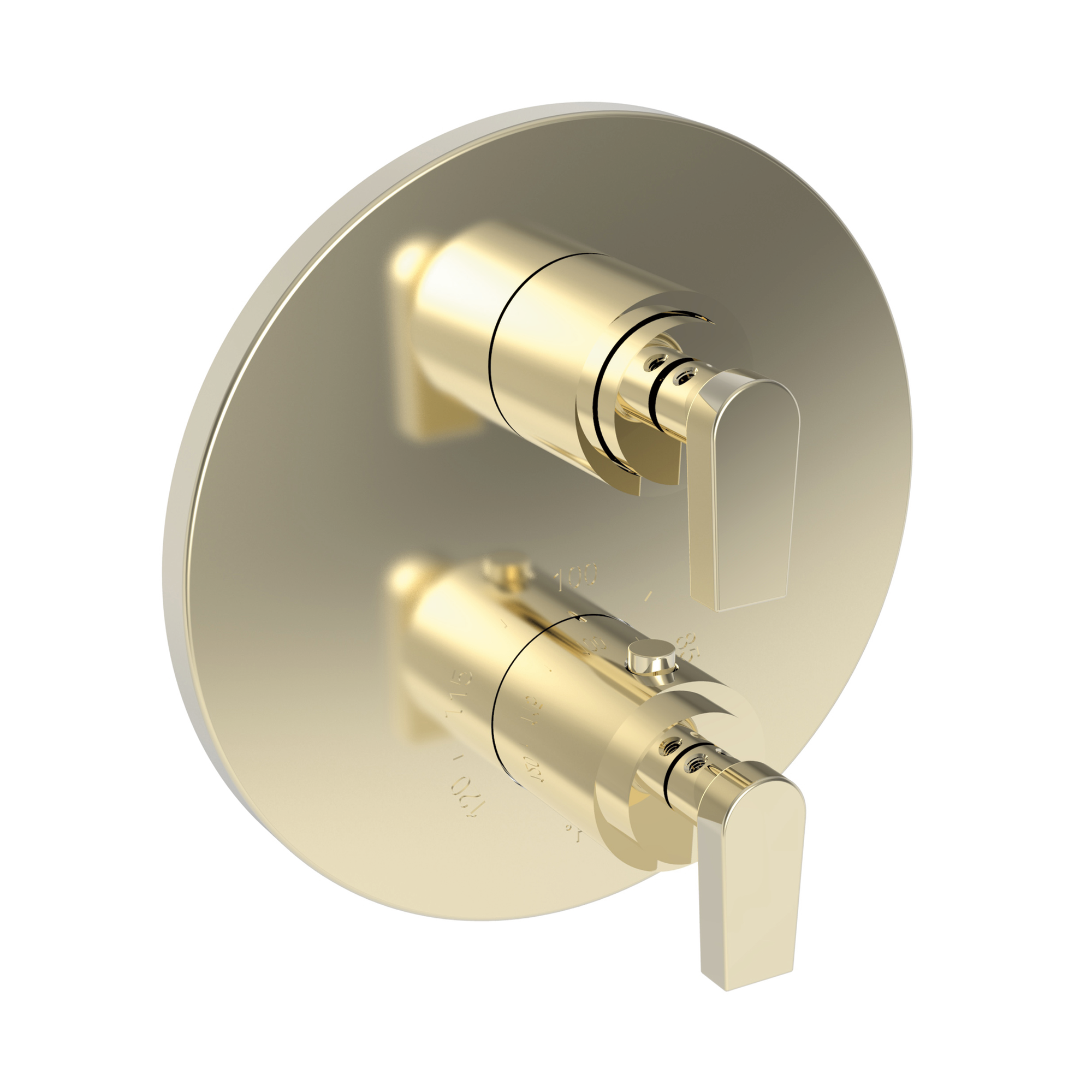 Newport Brass Dorrance® 1/2" Round Thermostatic Trim Plate with Handle
