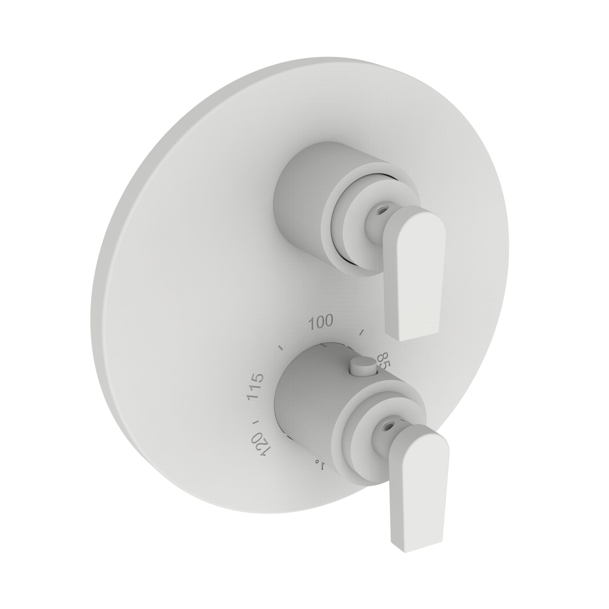 Newport Brass Dorrance® 1/2" Round Thermostatic Trim Plate with Handle