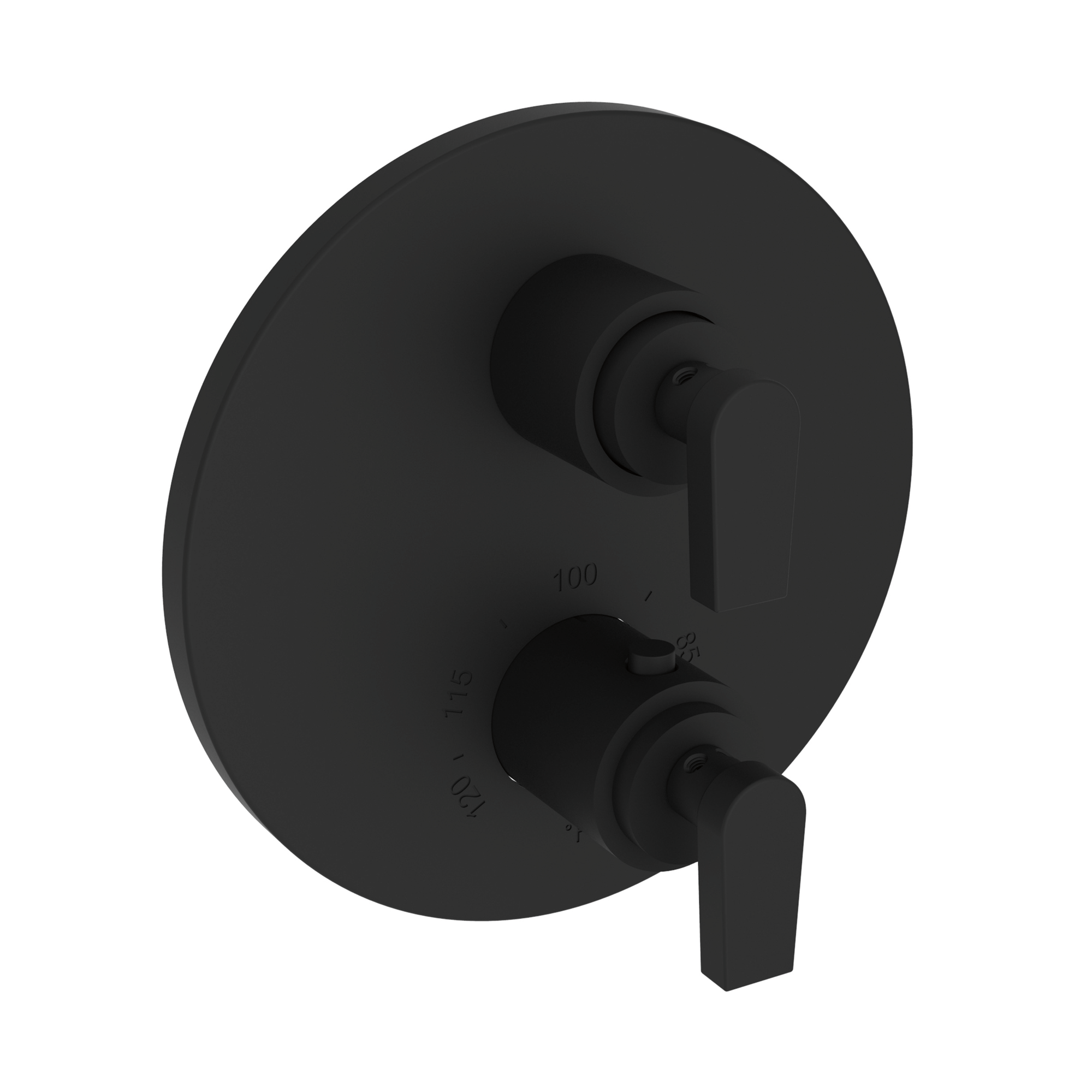 Newport Brass Dorrance® 1/2" Round Thermostatic Trim Plate with Handle