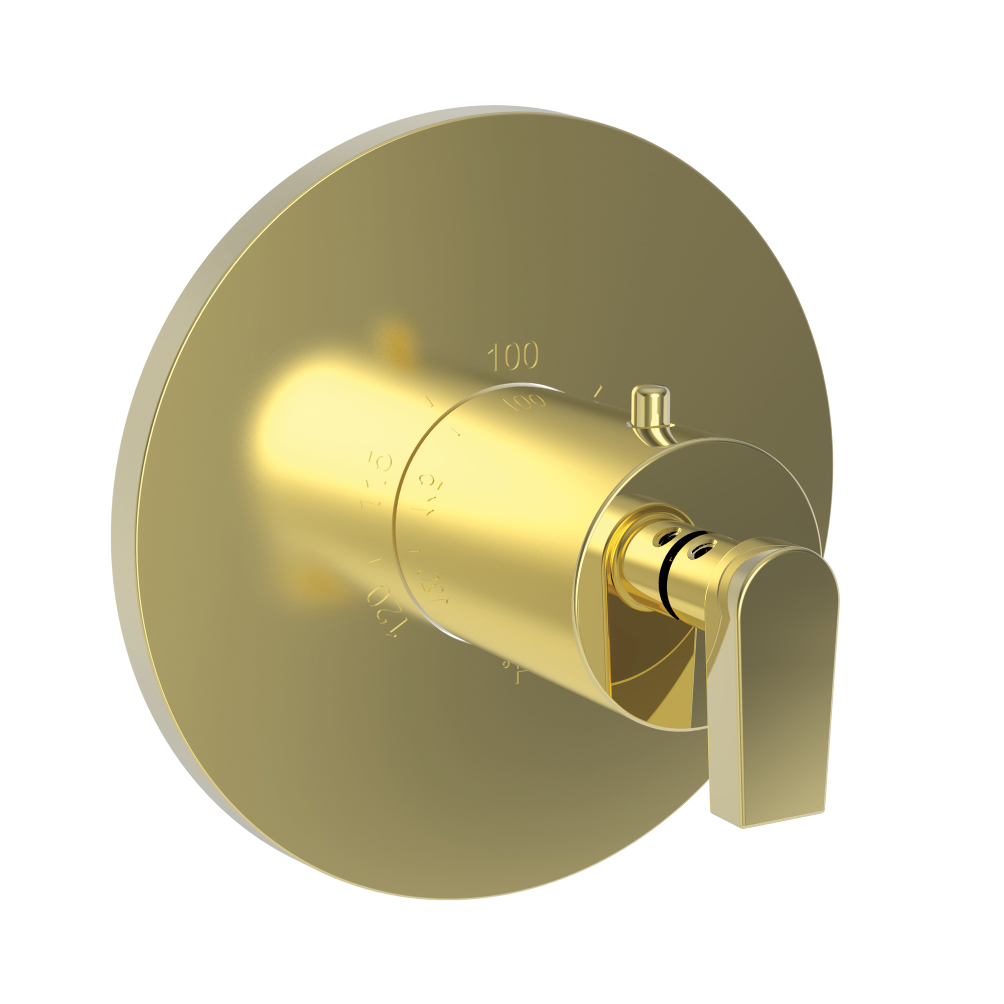 Newport Brass Dorrance® 3/4" Round Thermostatic Trim Plate with Handle