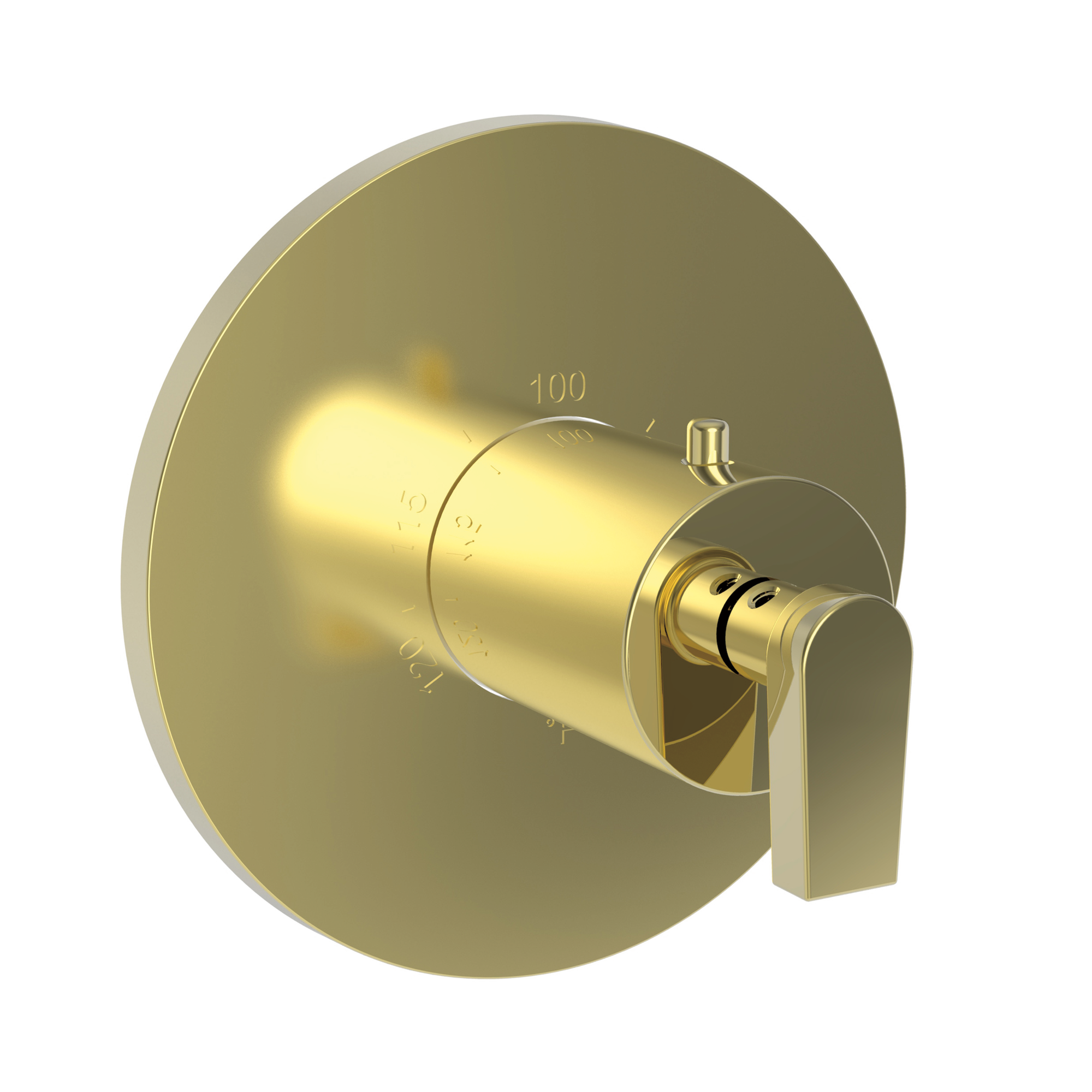 Newport Brass Dorrance® 3/4" Round Thermostatic Trim Plate with Handle