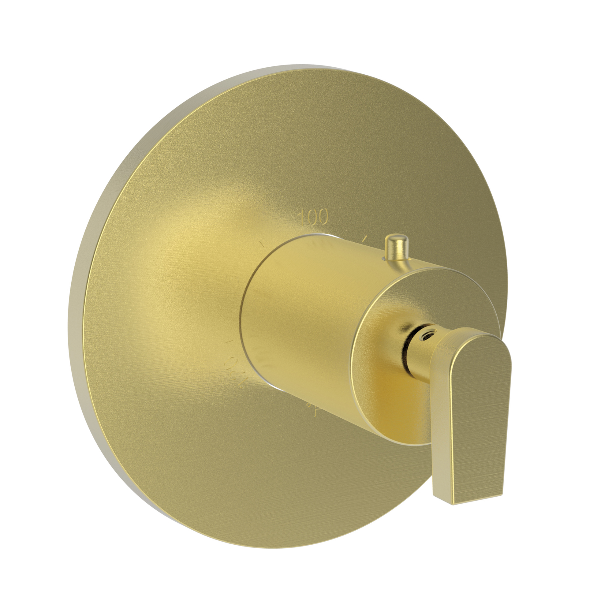Newport Brass Dorrance® 3/4" Round Thermostatic Trim Plate with Handle