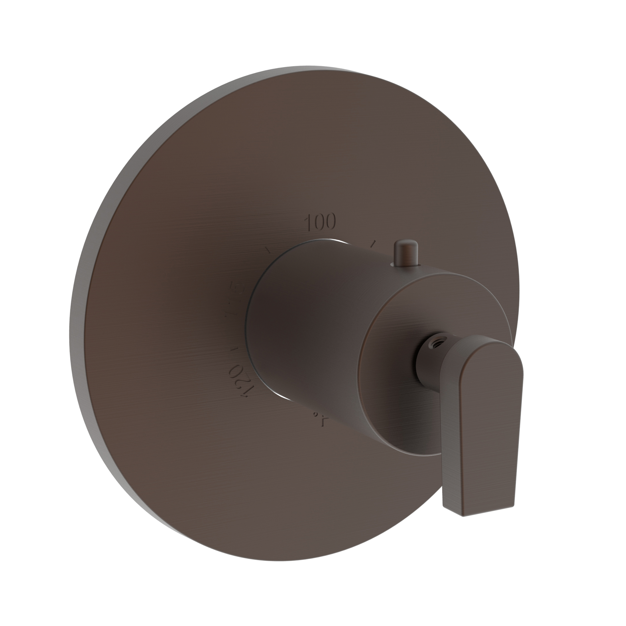 Newport Brass Dorrance® 3/4" Round Thermostatic Trim Plate with Handle