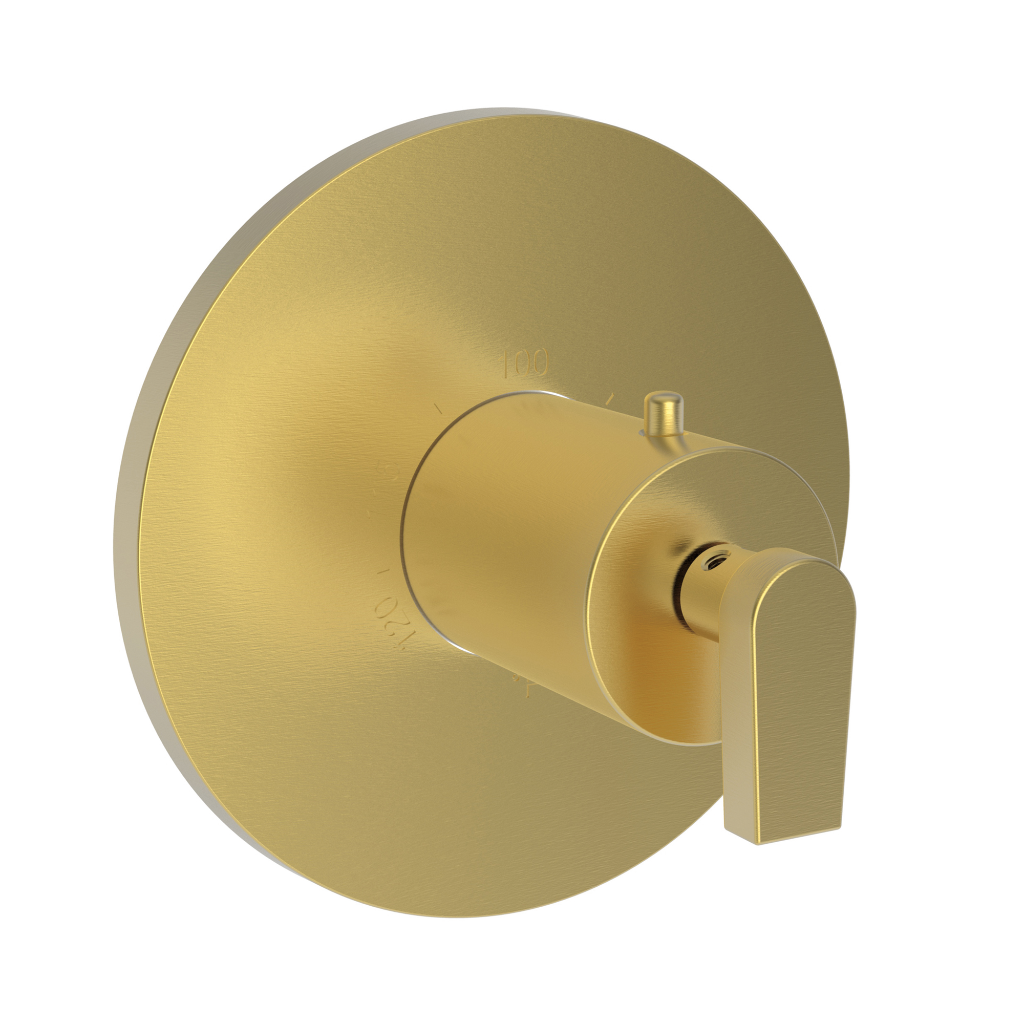 Newport Brass Dorrance® 3/4" Round Thermostatic Trim Plate with Handle