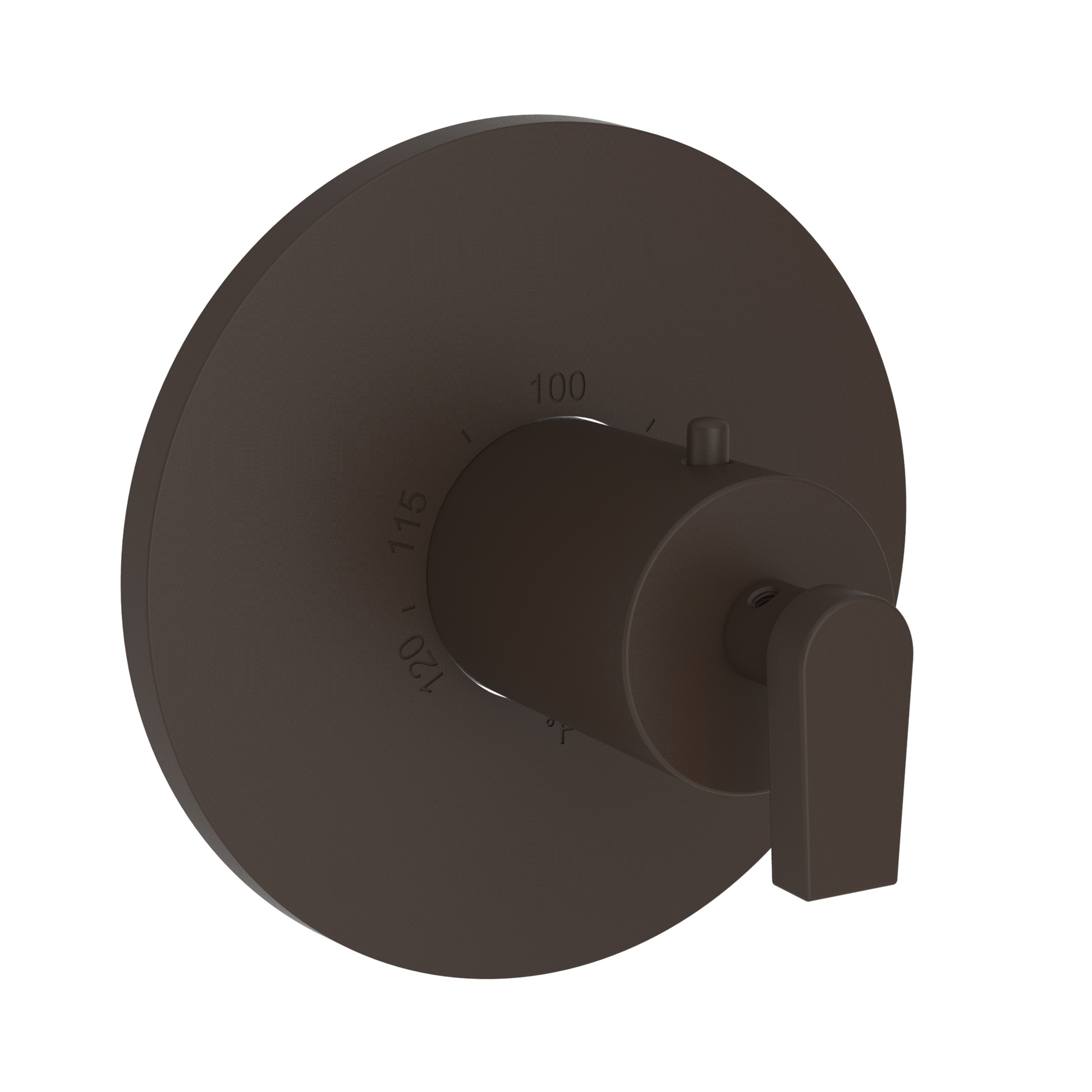 Newport Brass Dorrance® 3/4" Round Thermostatic Trim Plate with Handle