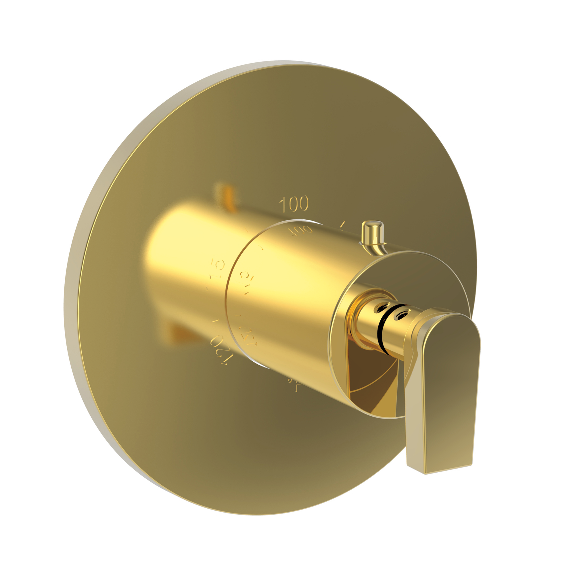 Newport Brass Dorrance® 3/4" Round Thermostatic Trim Plate with Handle