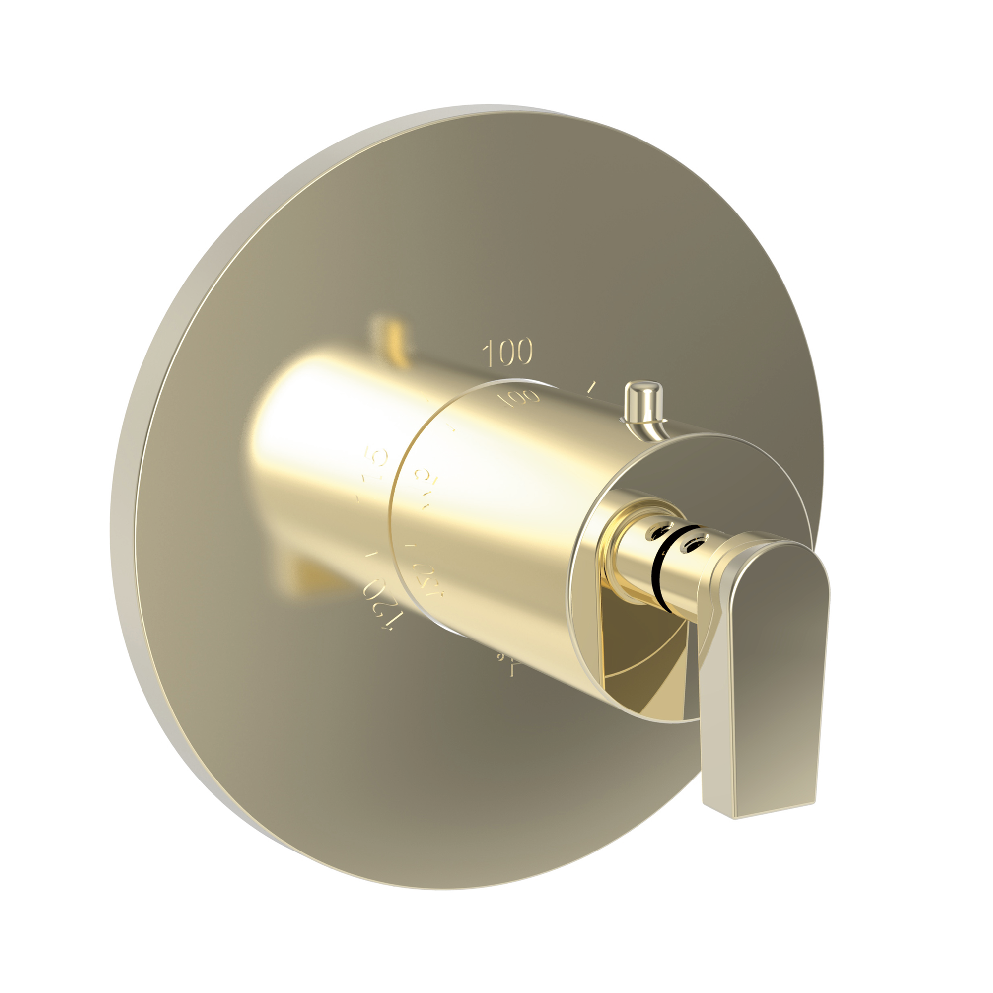 Newport Brass Dorrance® 3/4" Round Thermostatic Trim Plate with Handle