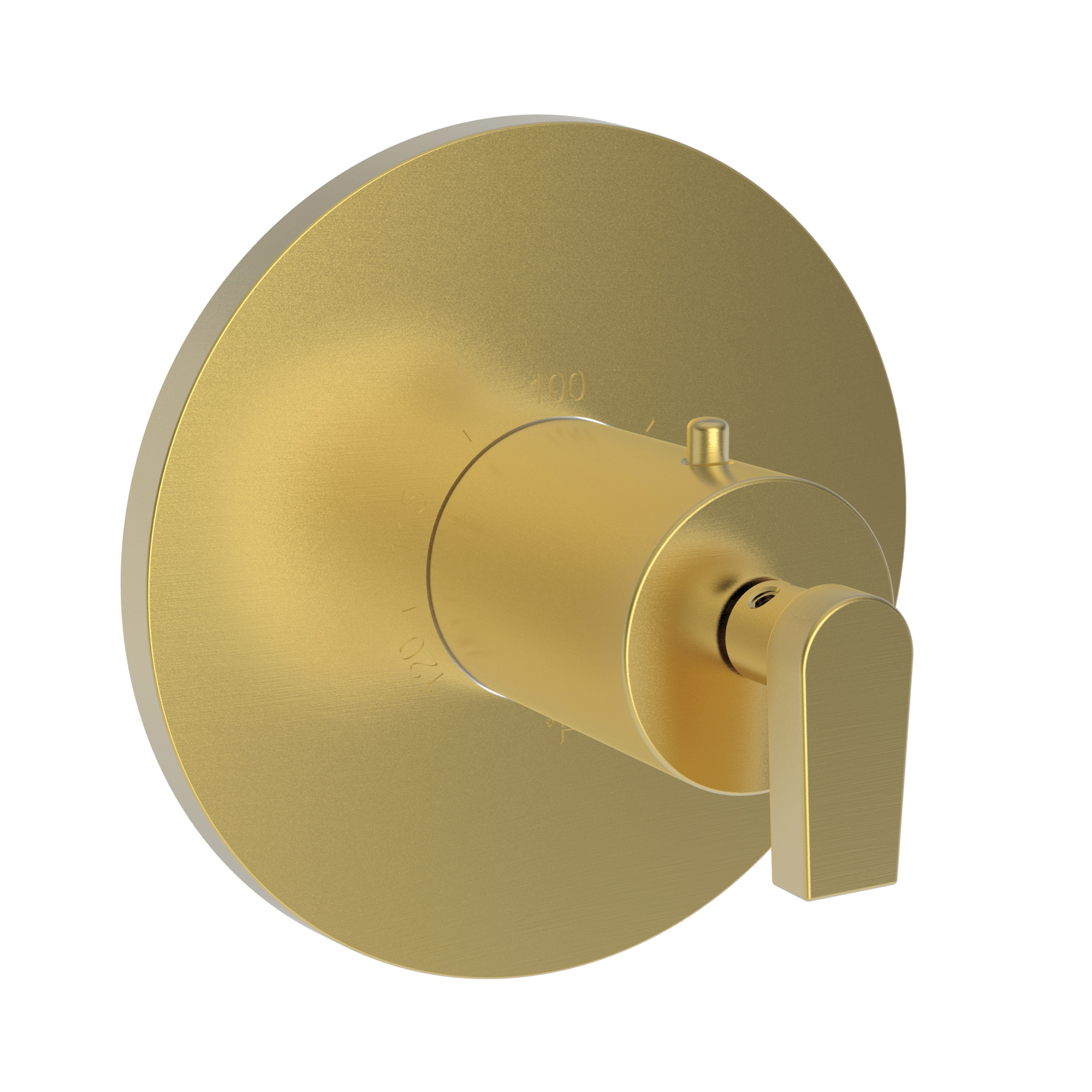Newport Brass Dorrance® 3/4" Round Thermostatic Trim Plate with Handle