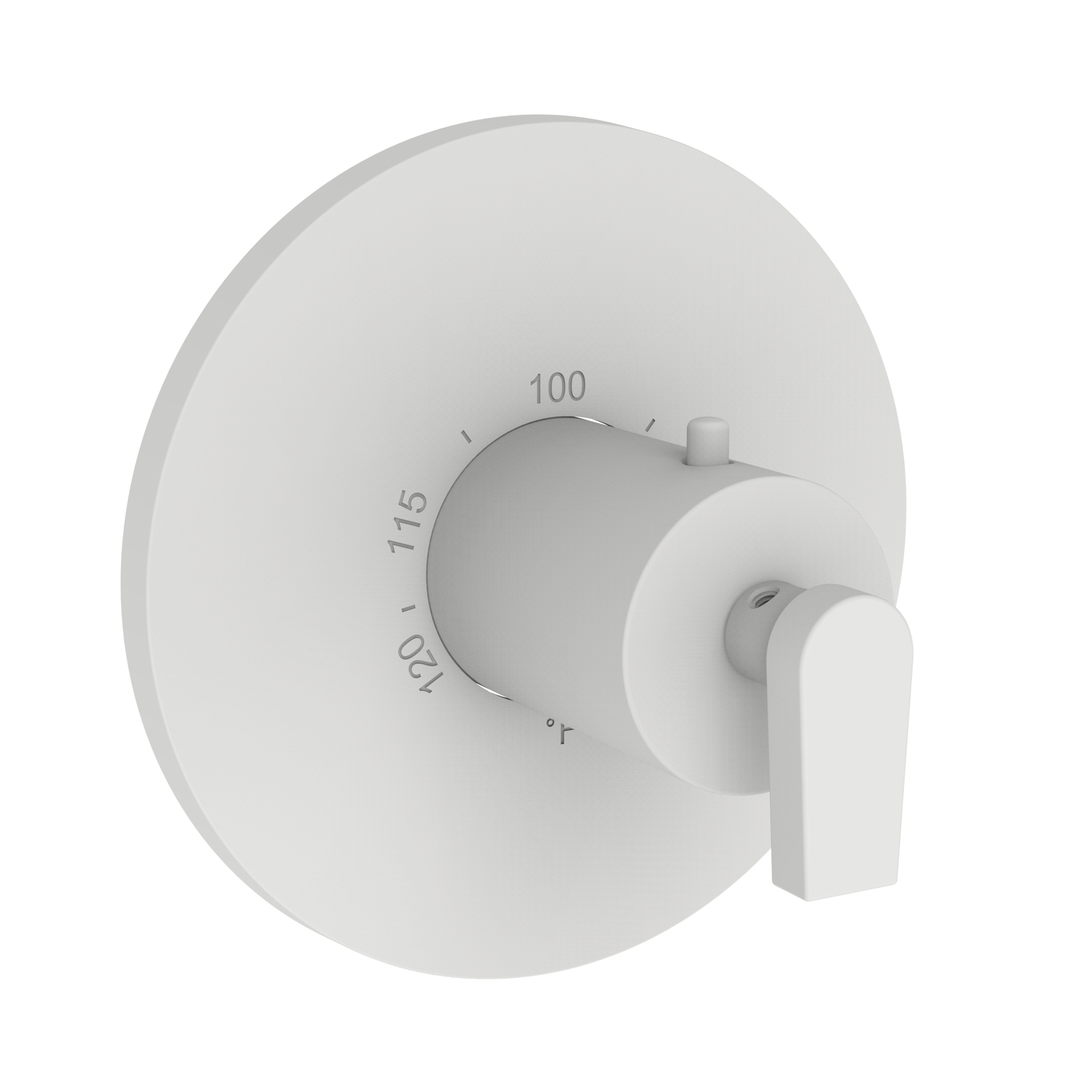 Newport Brass Dorrance® 3/4" Round Thermostatic Trim Plate with Handle