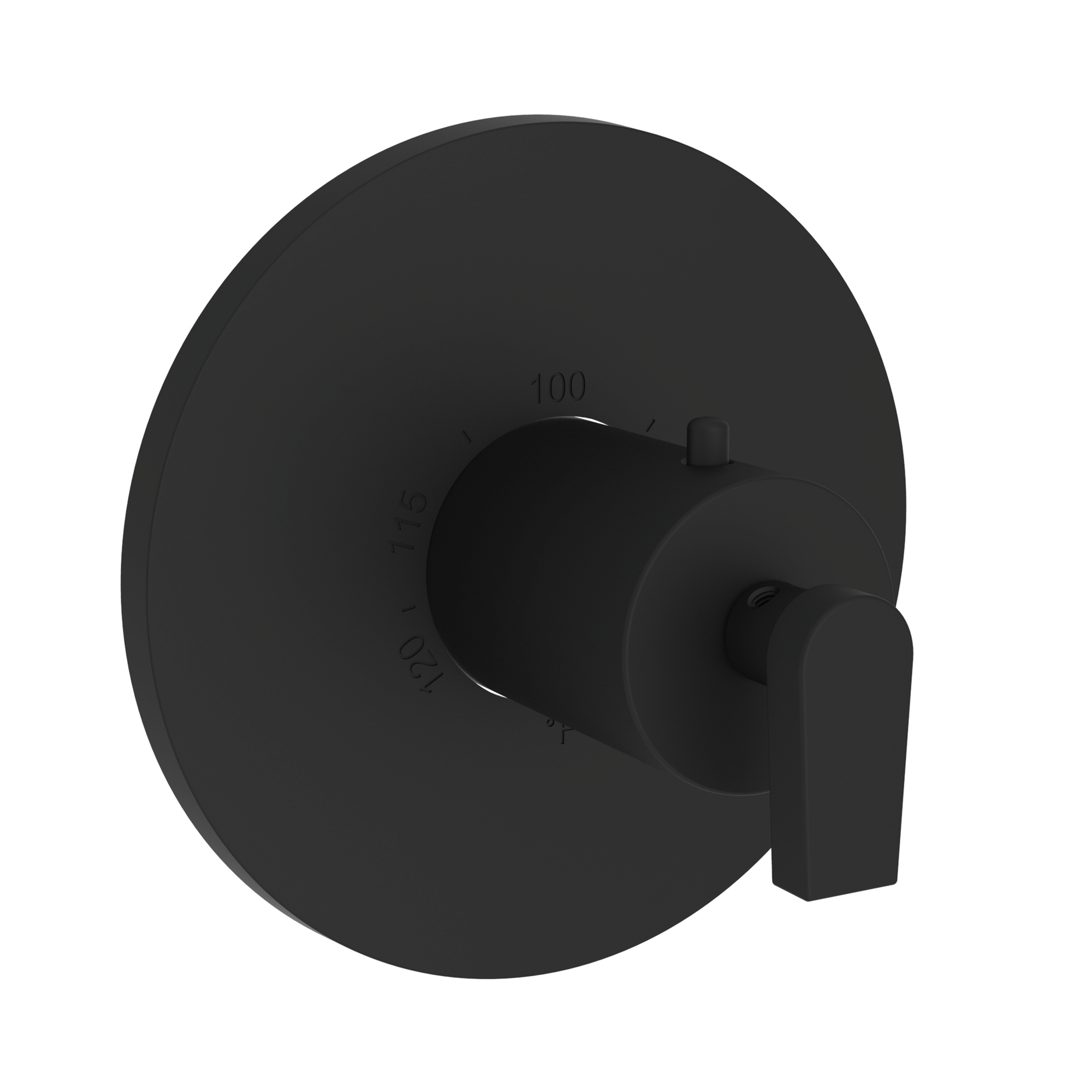 Newport Brass Dorrance® 3/4" Round Thermostatic Trim Plate with Handle