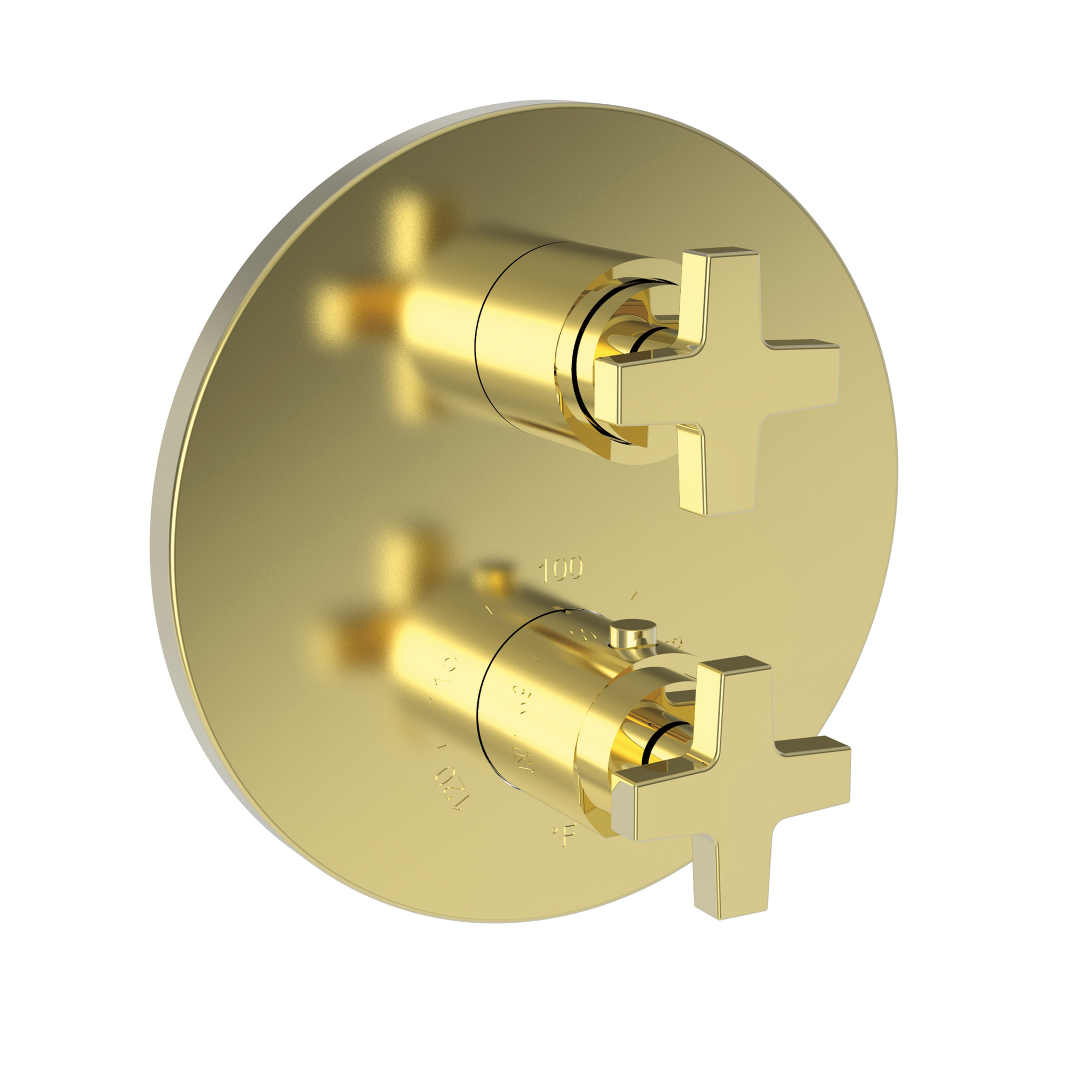 Newport Brass Dorrance® 1/2" Round Thermostatic Trim Plate with Handle
