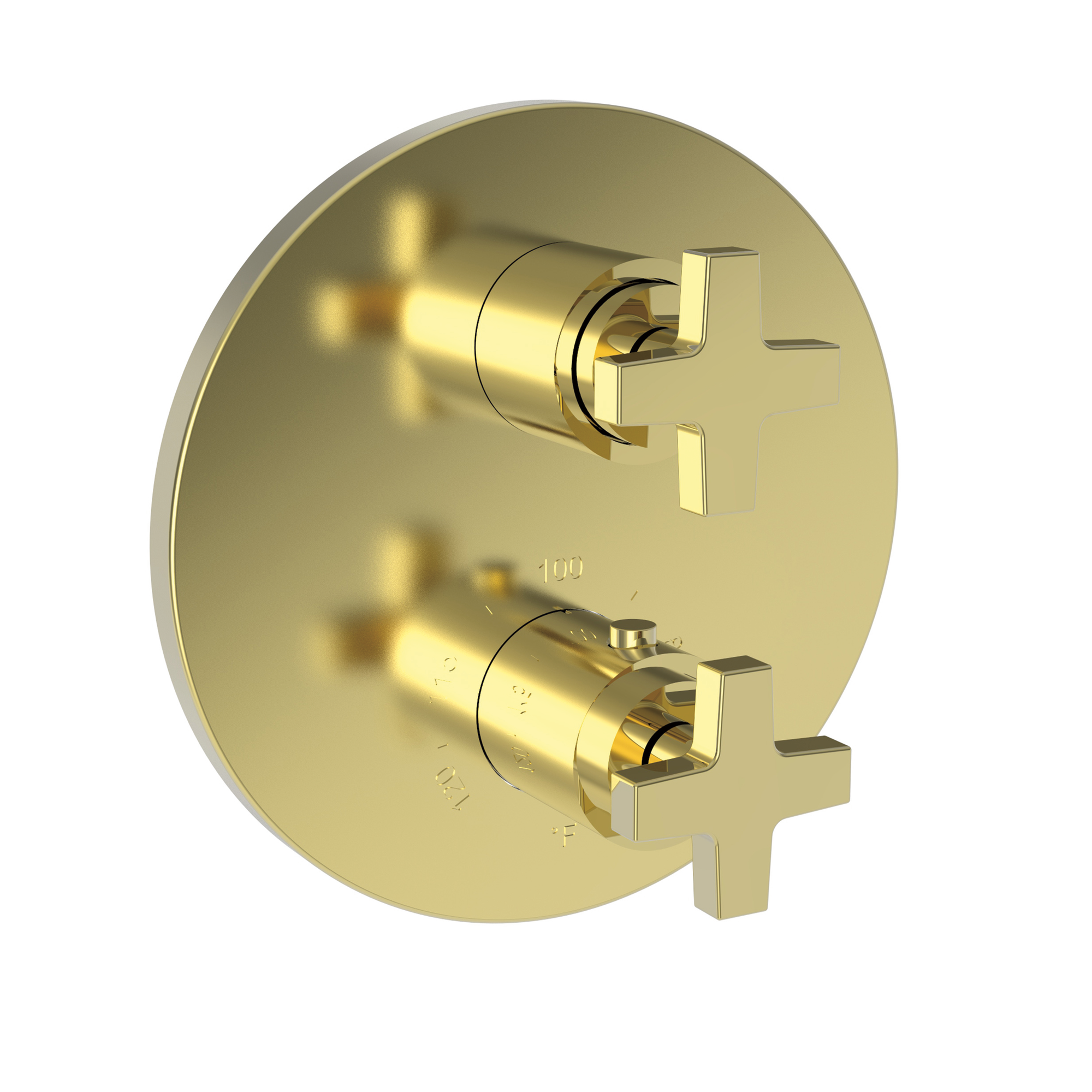 Newport Brass Dorrance® 1/2" Round Thermostatic Trim Plate with Handle