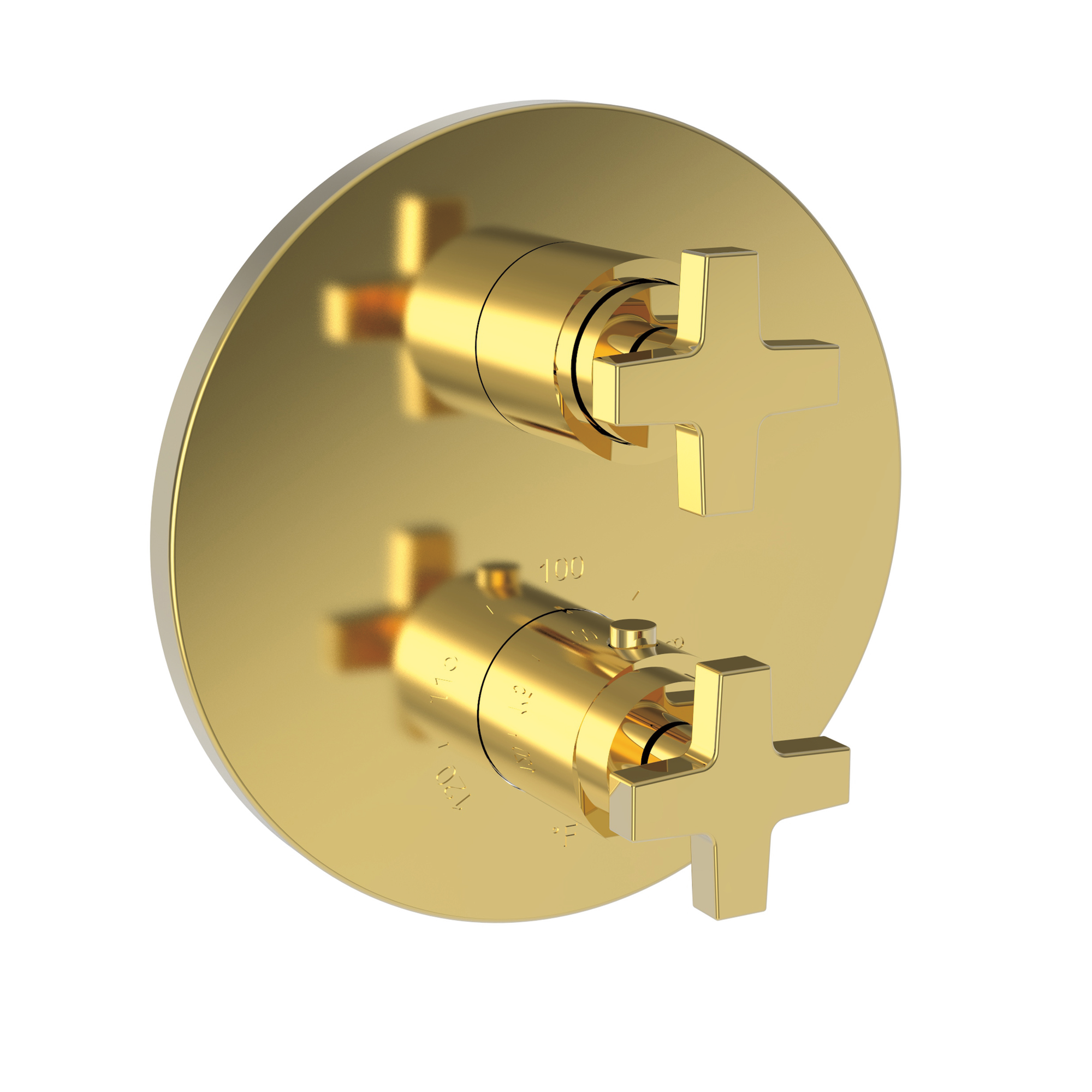 Newport Brass Dorrance® 1/2" Round Thermostatic Trim Plate with Handle