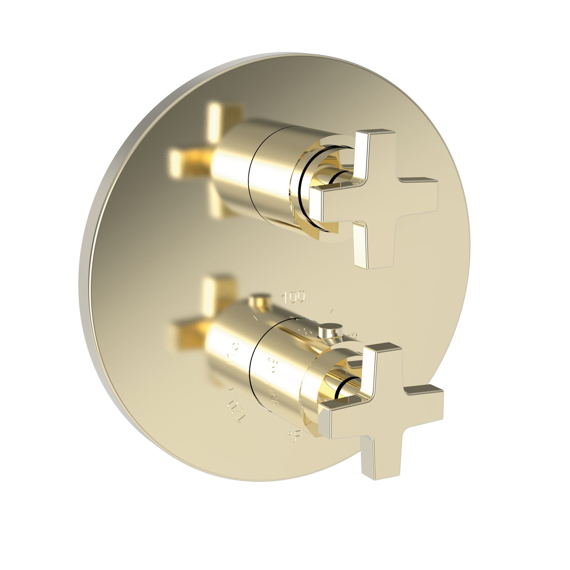 Newport Brass Dorrance® 1/2" Round Thermostatic Trim Plate with Handle
