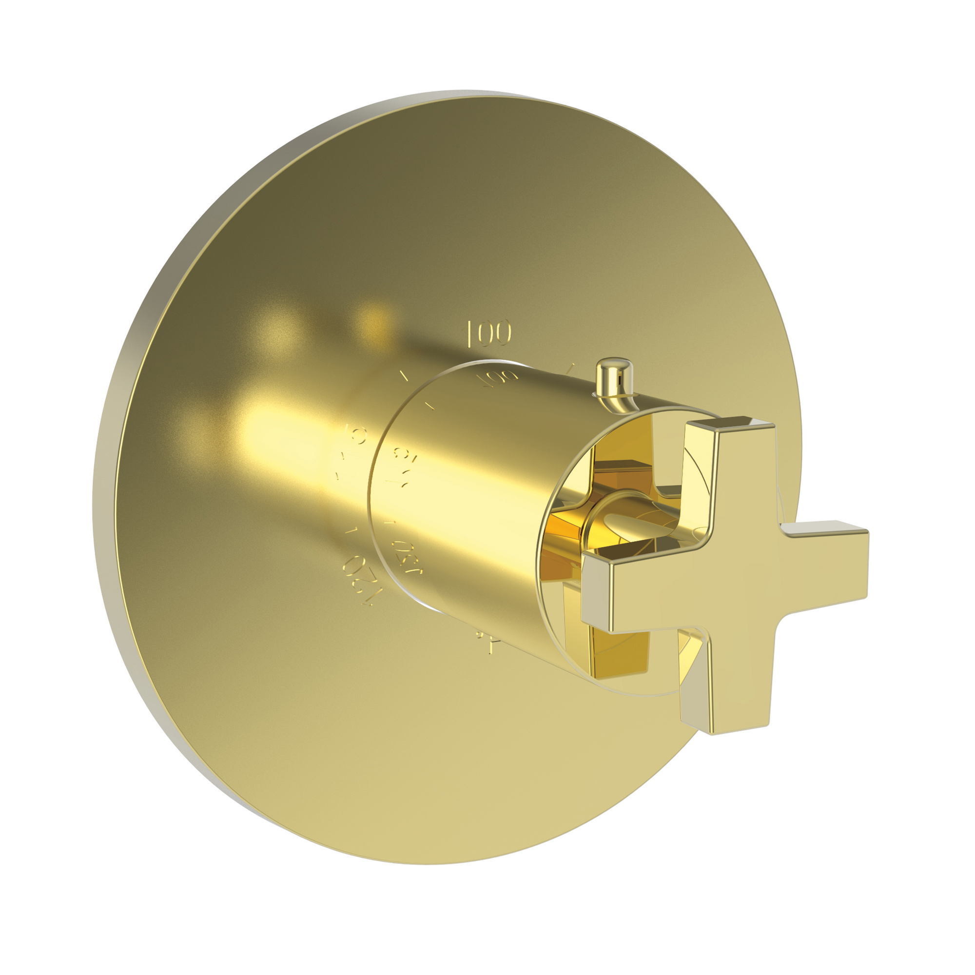 Newport Brass Dorrance® 3/4" Round Thermostatic Trim Plate with Handle