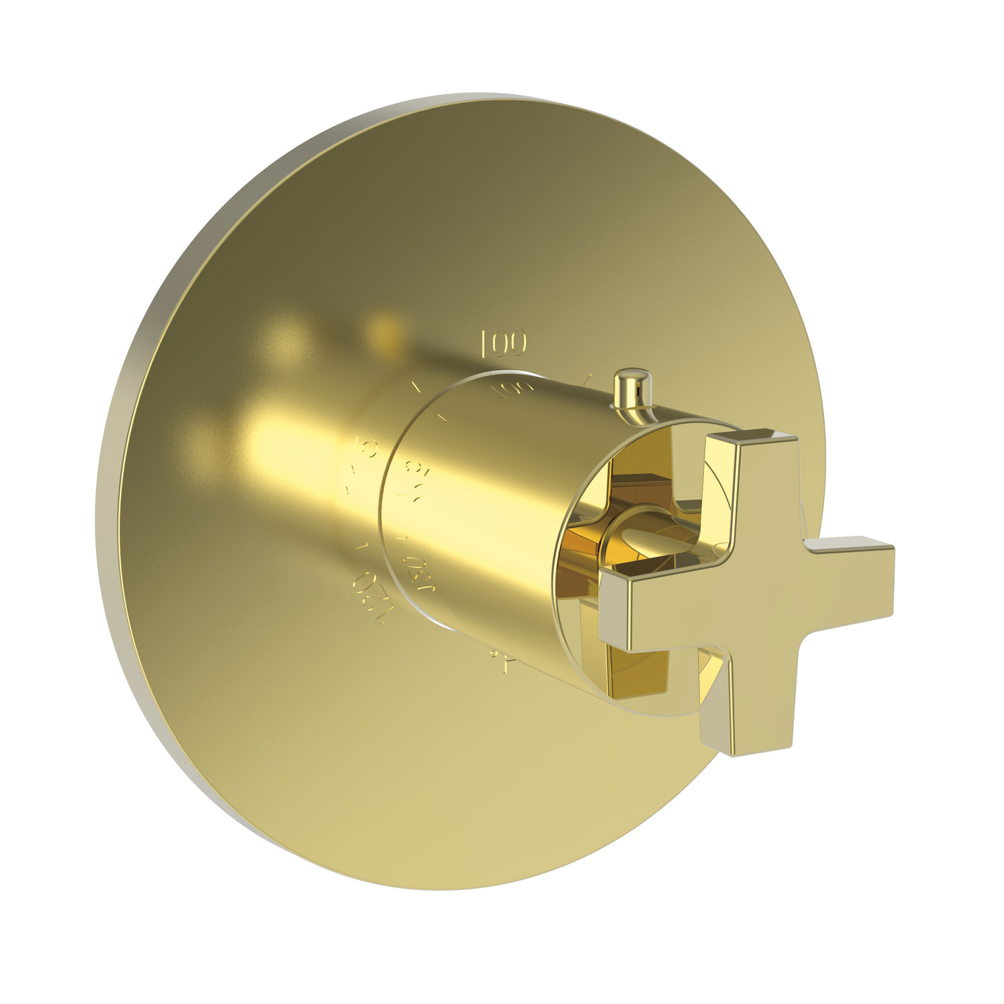 Newport Brass Dorrance® 3/4" Round Thermostatic Trim Plate with Handle