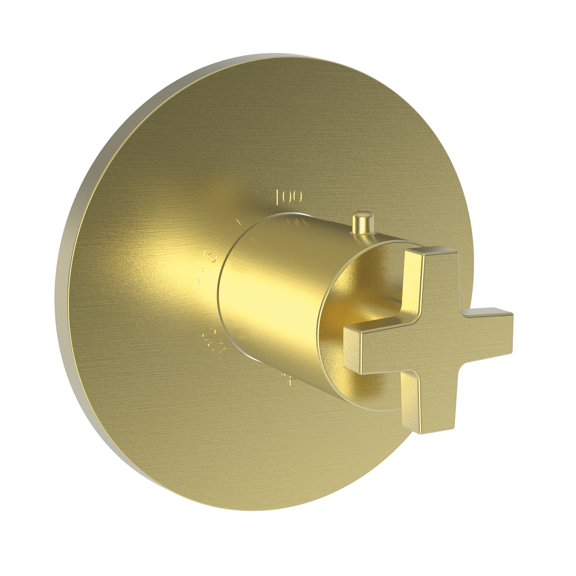 Newport Brass Dorrance® 3/4" Round Thermostatic Trim Plate with Handle