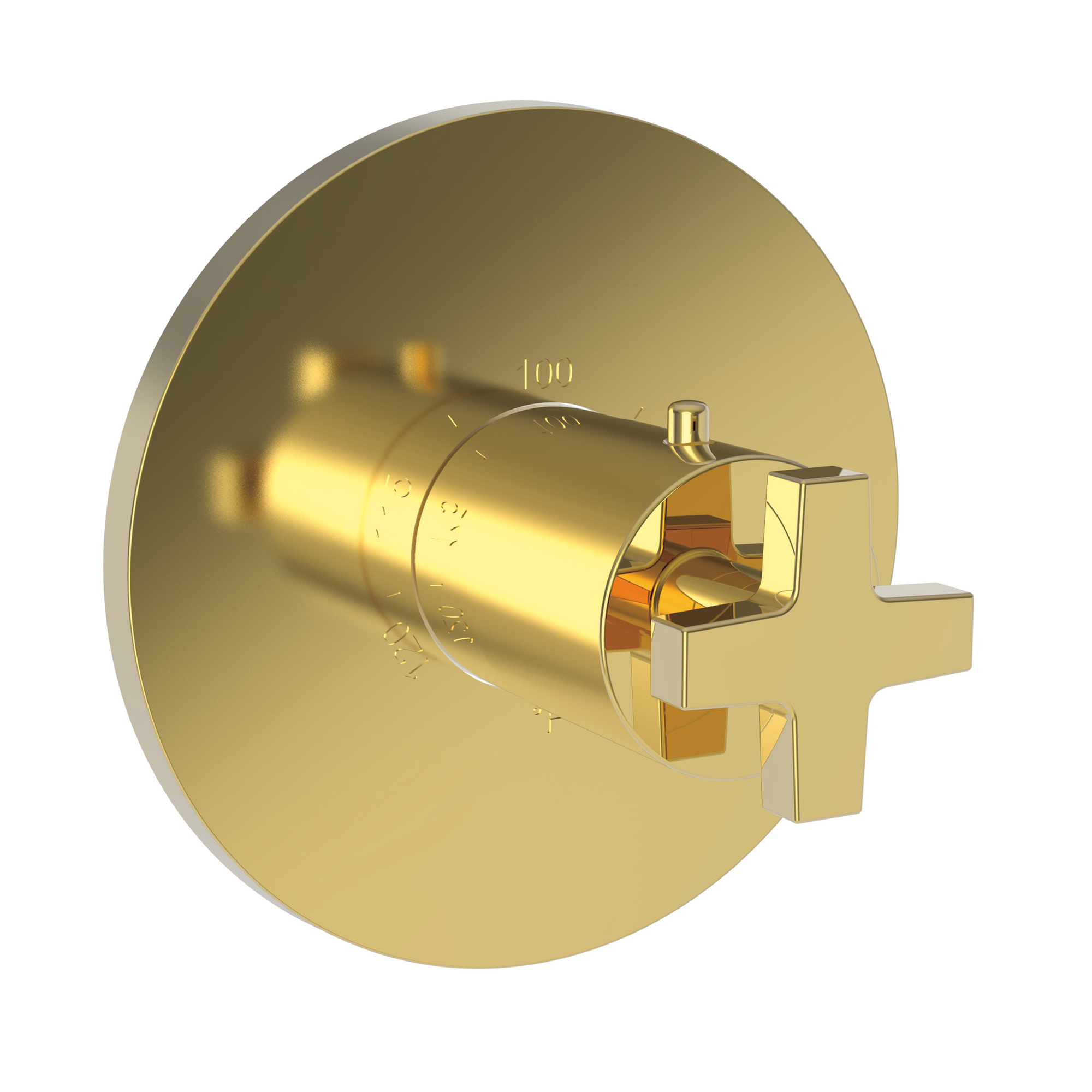 Newport Brass Dorrance® 3/4" Round Thermostatic Trim Plate with Handle