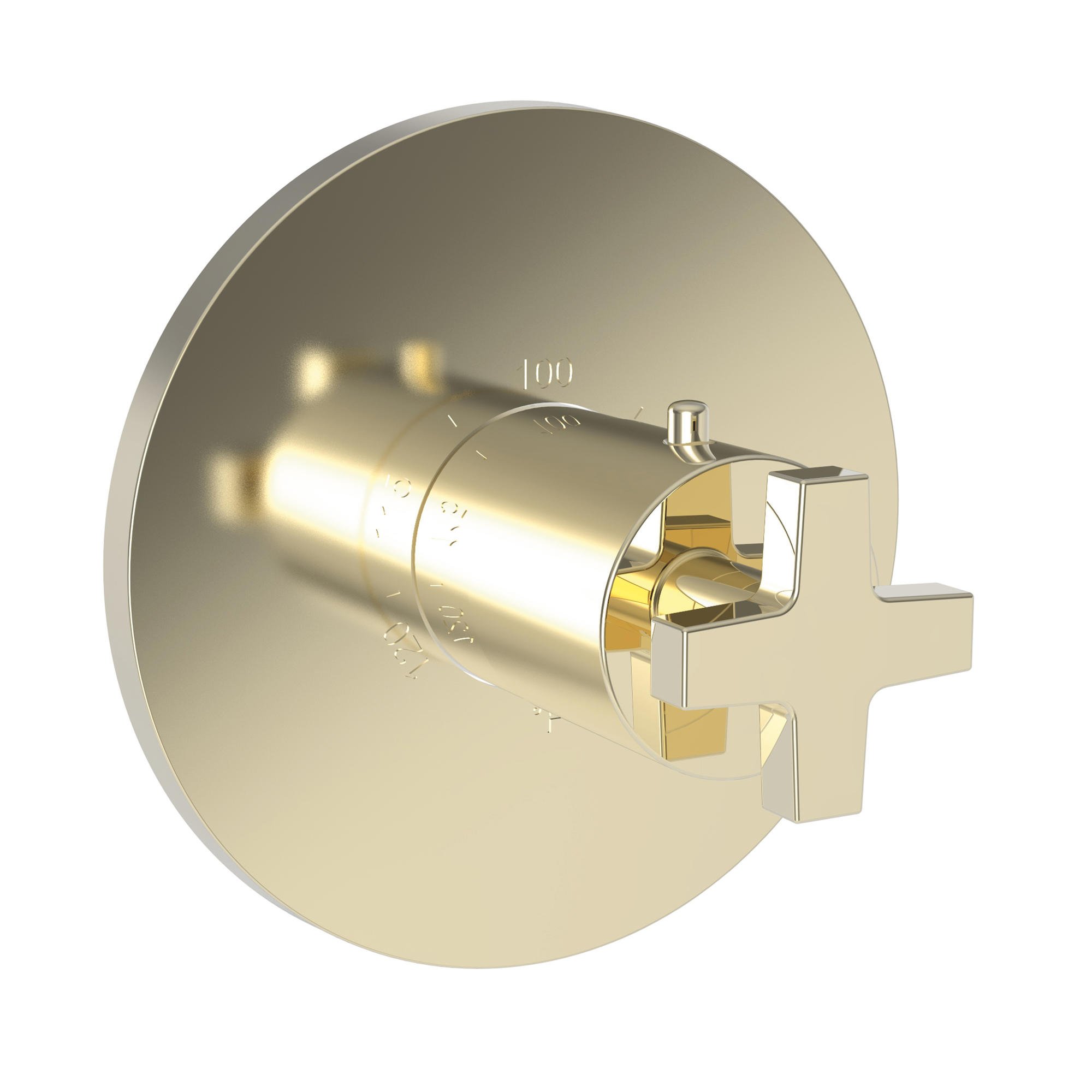 Newport Brass Dorrance® 3/4" Round Thermostatic Trim Plate with Handle