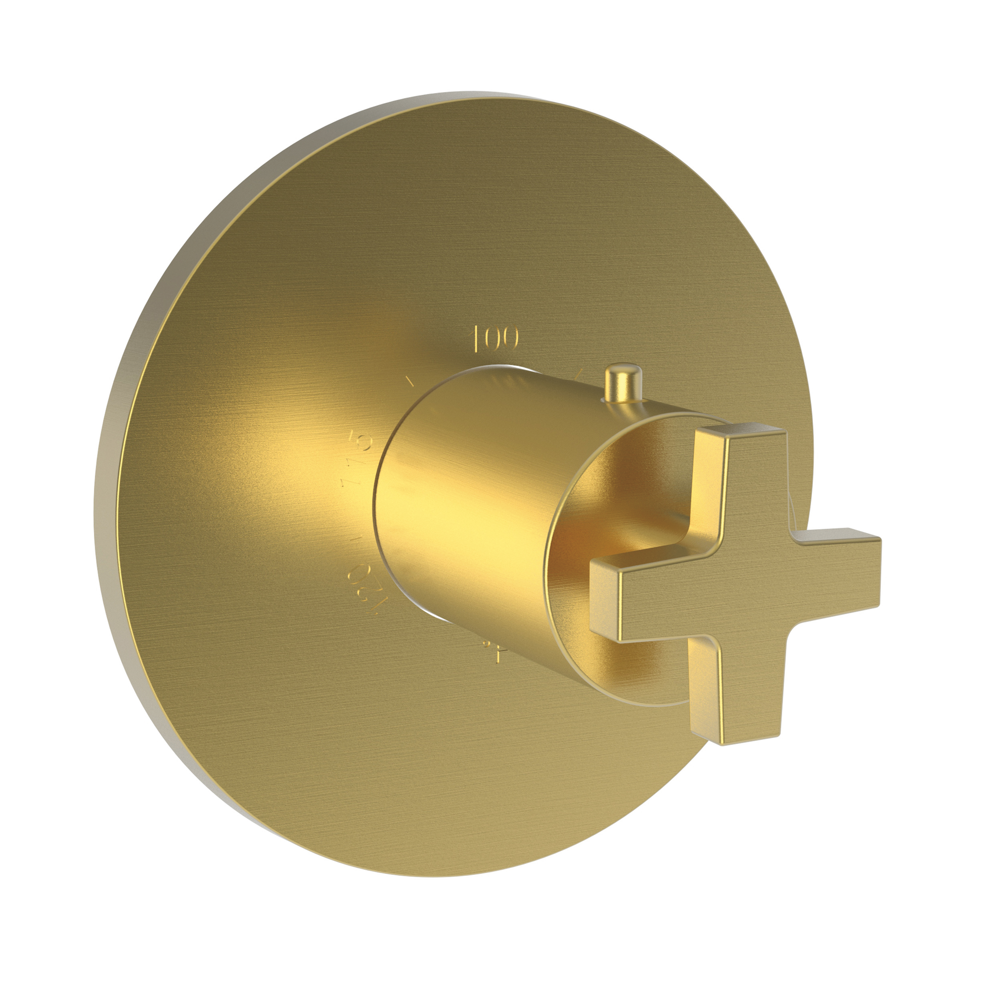 Newport Brass Dorrance® 3/4" Round Thermostatic Trim Plate with Handle