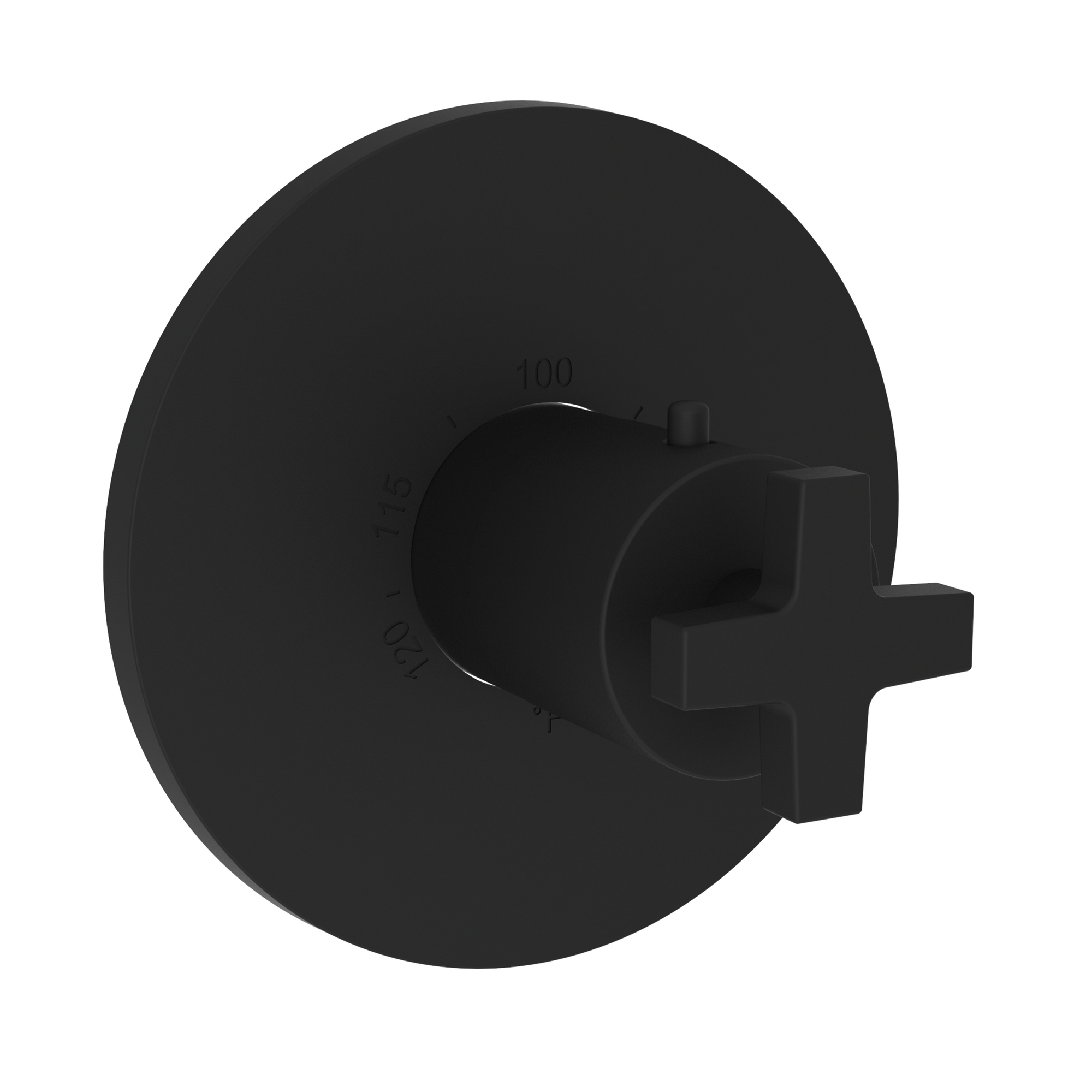 Newport Brass Dorrance® 3/4" Round Thermostatic Trim Plate with Handle