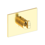 Newport Brass Malvina® 3/4" Square Thermostatic Trim Plate with Handle