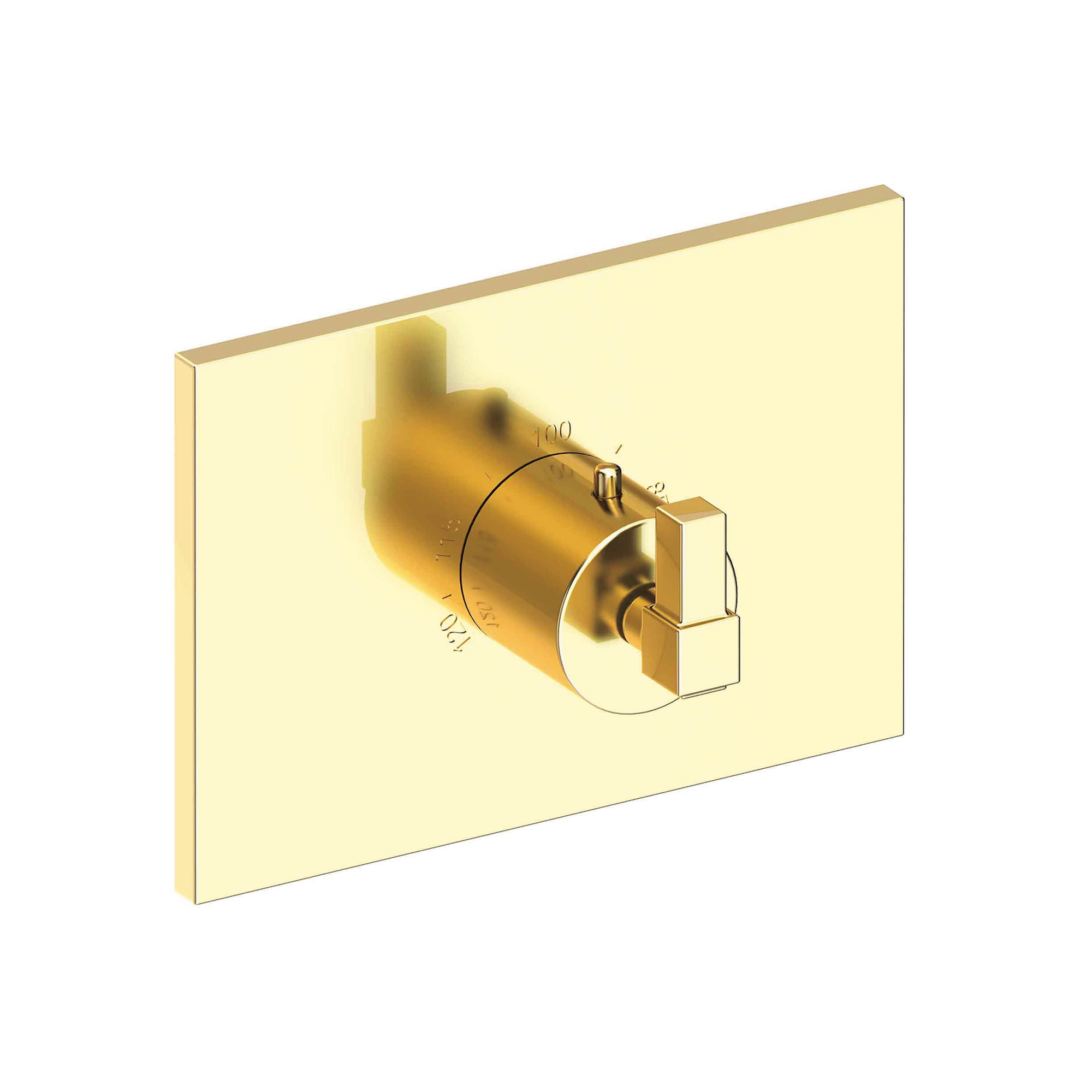 Newport Brass Malvina® 3/4" Square Thermostatic Trim Plate with Handle