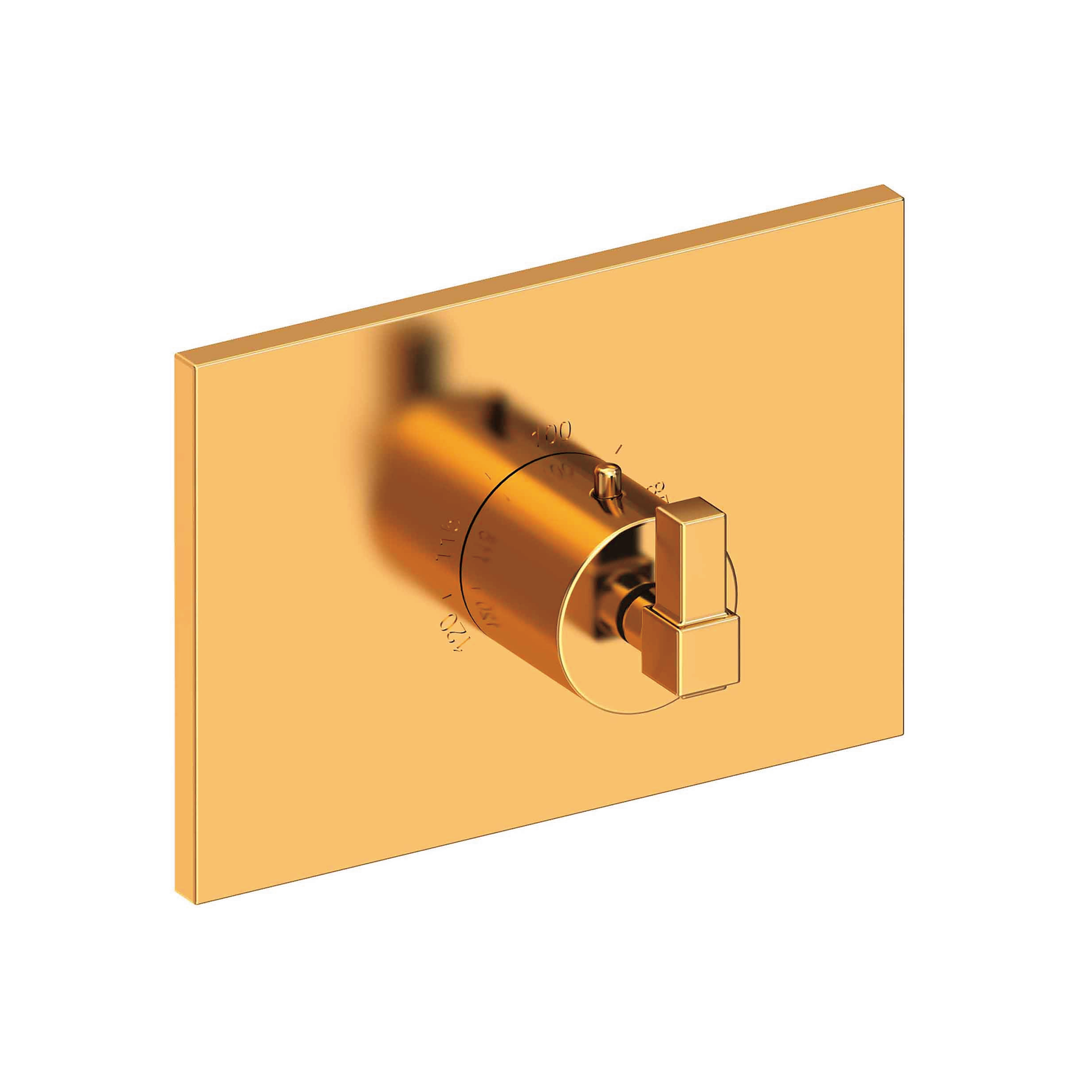 Newport Brass Malvina® 3/4" Square Thermostatic Trim Plate with Handle