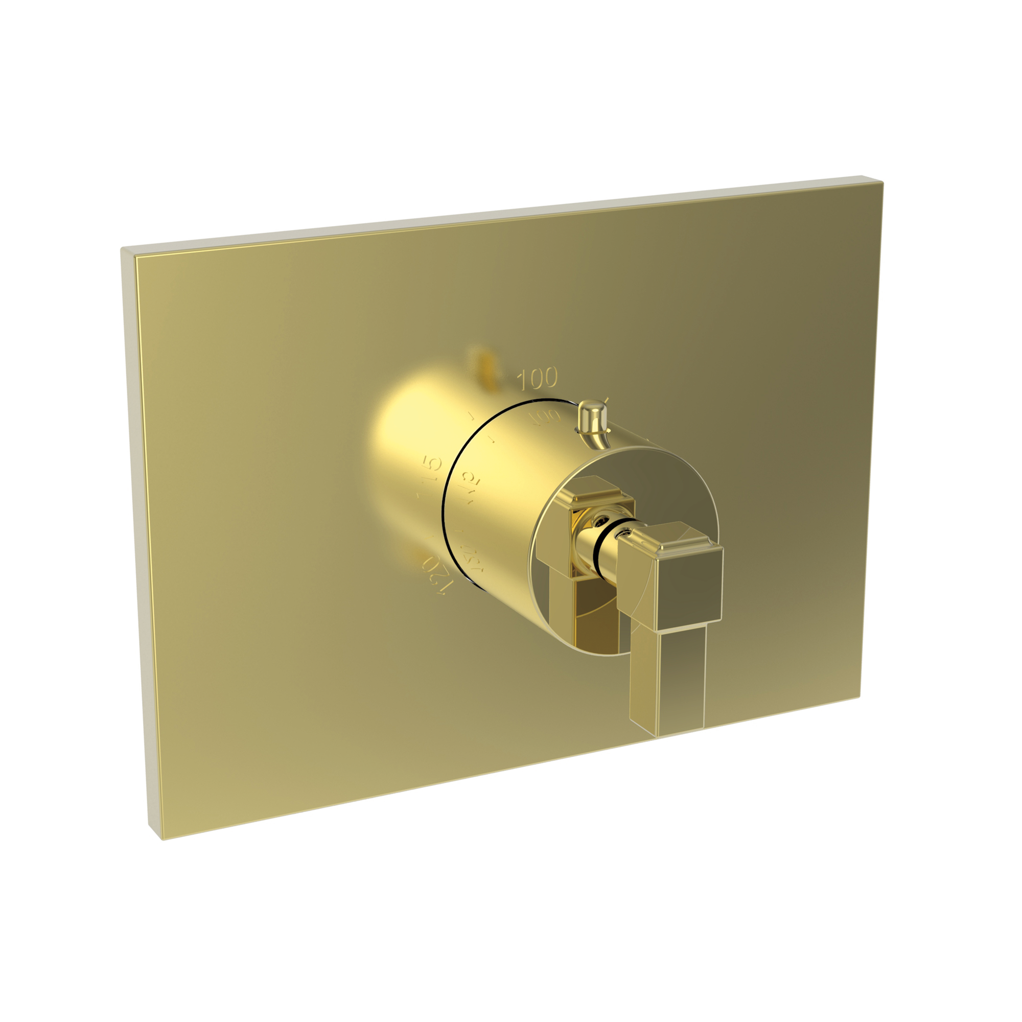 Newport Brass Malvina® 3/4" Square Thermostatic Trim Plate with Handle