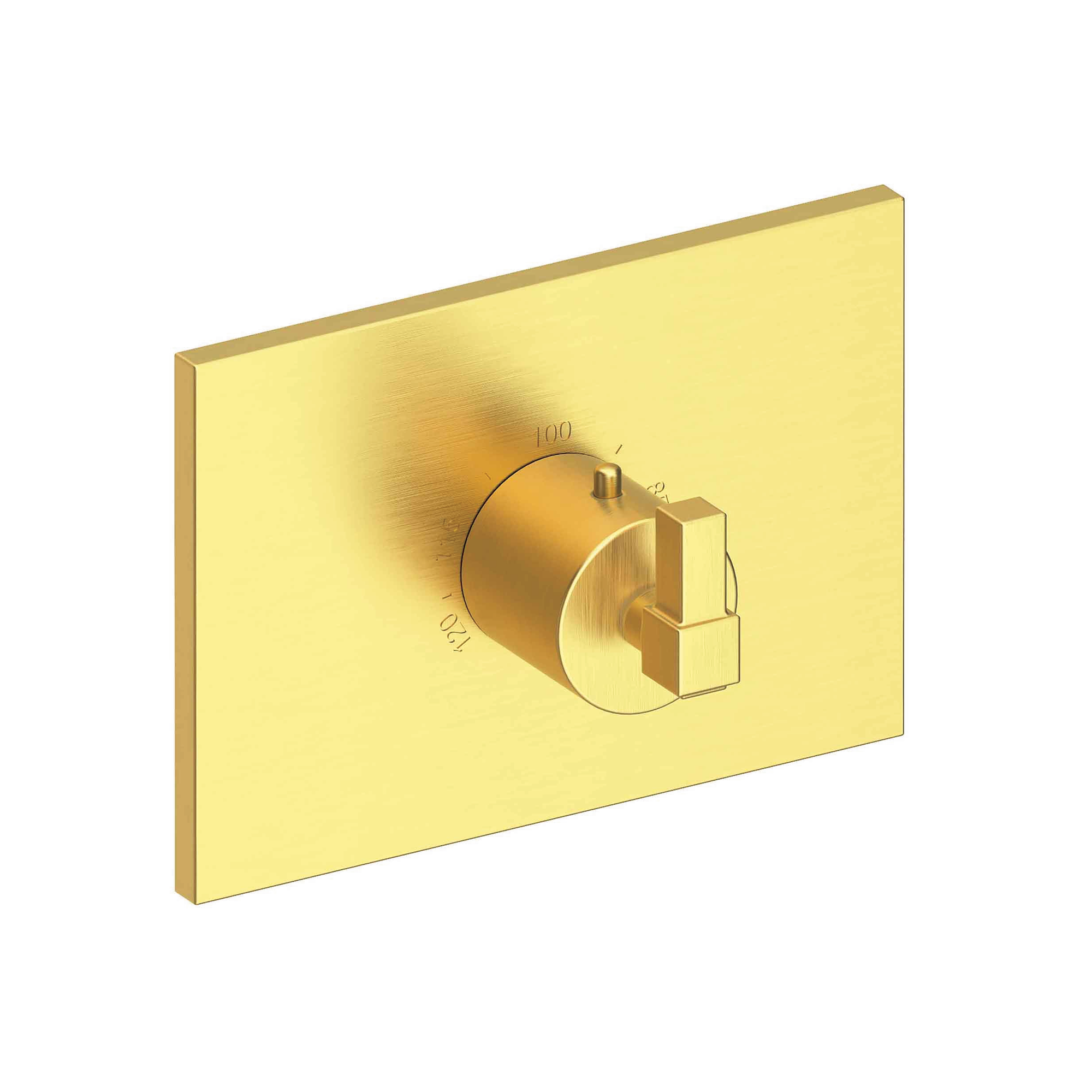 Newport Brass Malvina® 3/4" Square Thermostatic Trim Plate with Handle