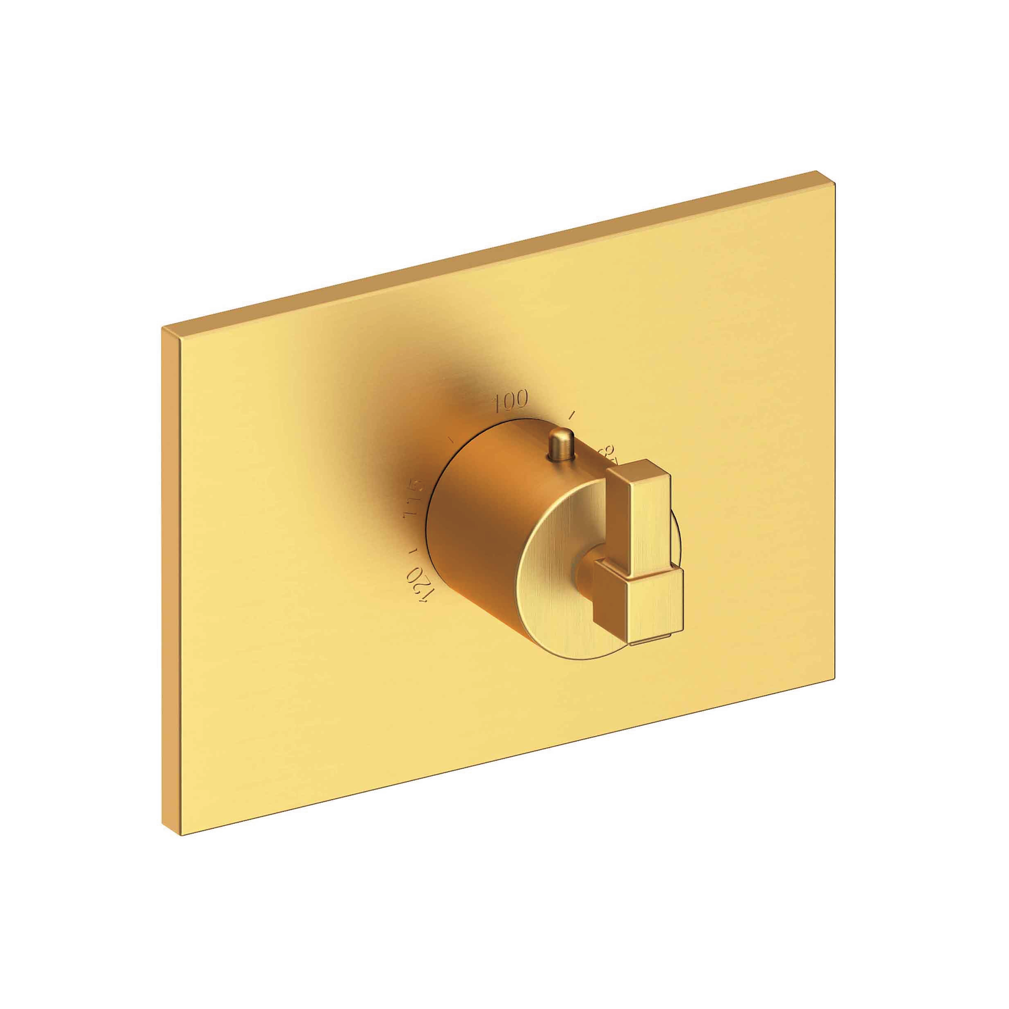 Newport Brass Malvina® 3/4" Square Thermostatic Trim Plate with Handle
