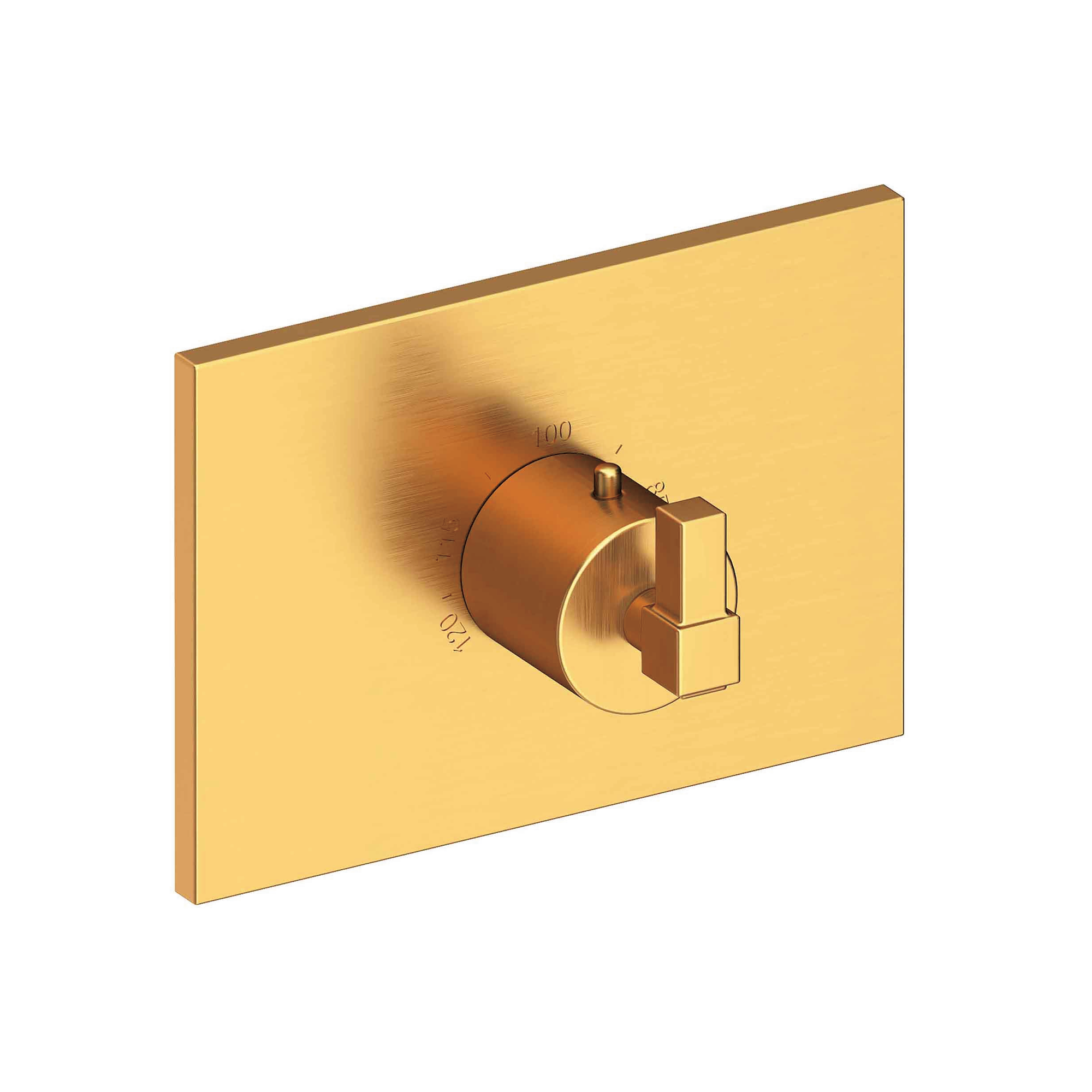 Newport Brass Malvina® 3/4" Square Thermostatic Trim Plate with Handle