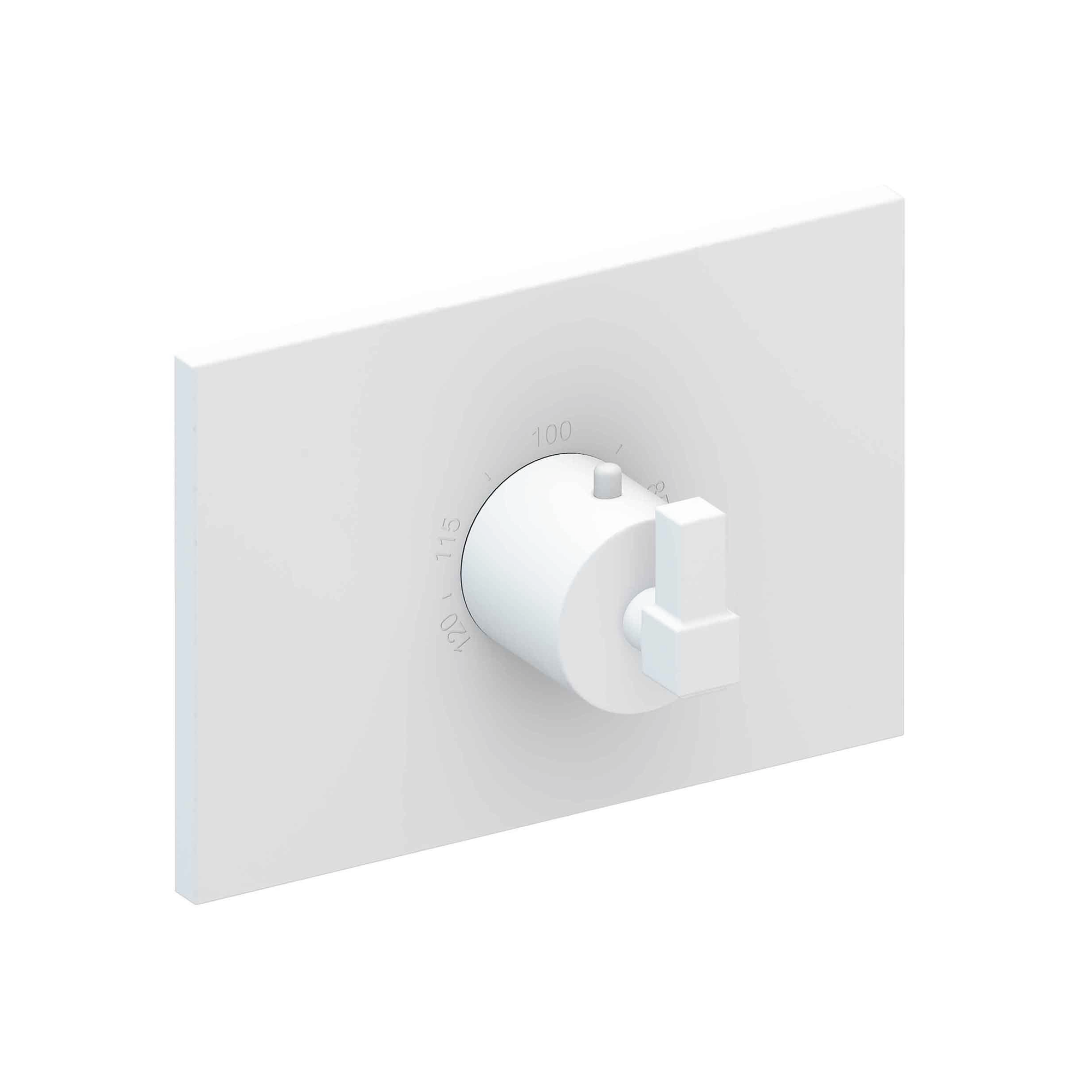 Newport Brass Malvina® 3/4" Square Thermostatic Trim Plate with Handle