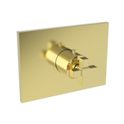Newport Brass Malvina® 3/4" Square Thermostatic Trim Plate with Handle