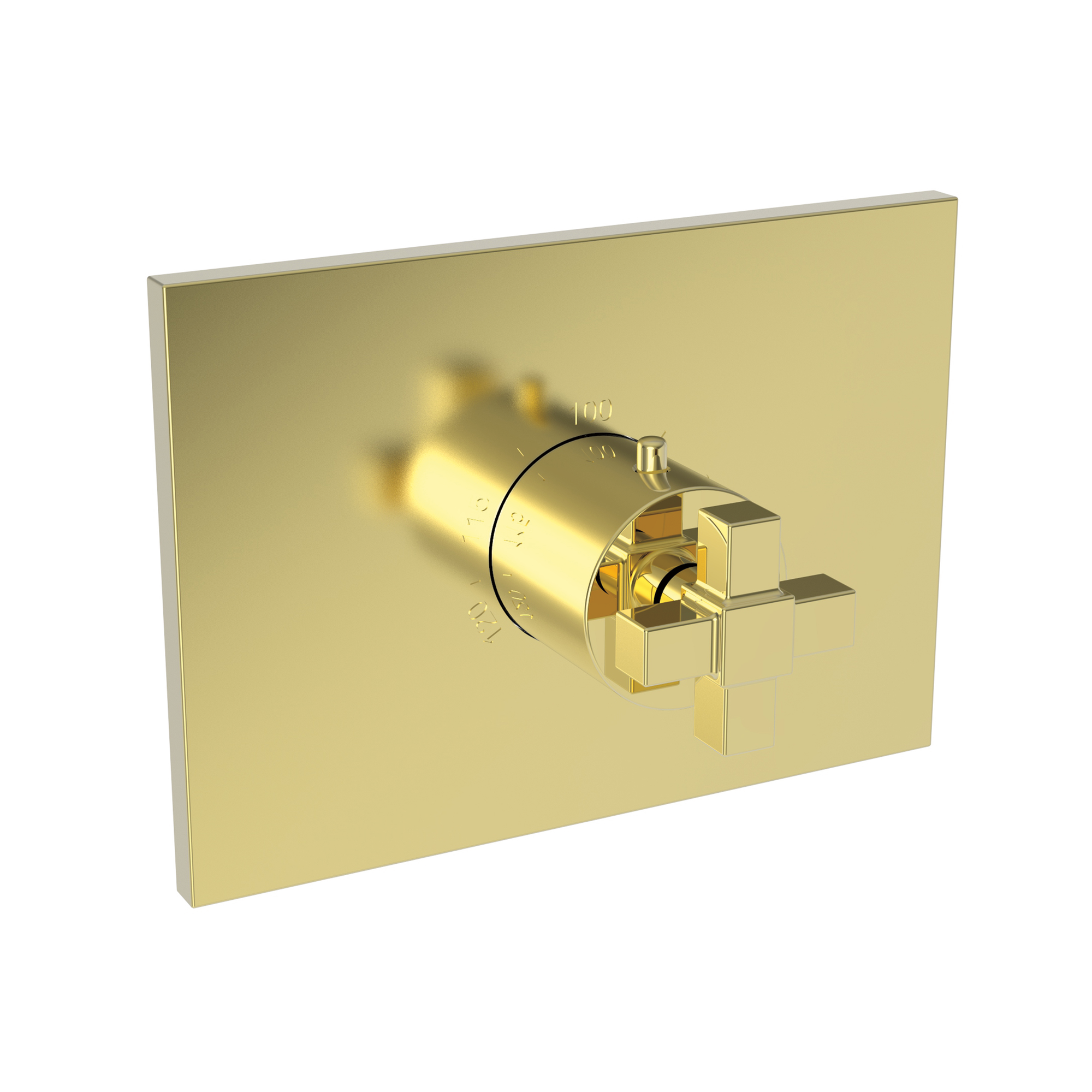 Newport Brass Malvina® 3/4" Square Thermostatic Trim Plate with Handle