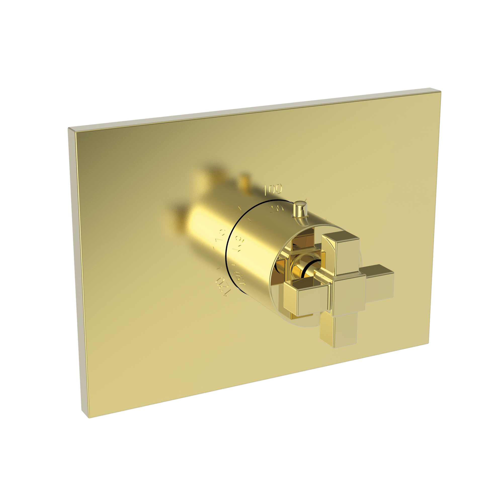 Newport Brass Malvina® 3/4" Square Thermostatic Trim Plate with Handle