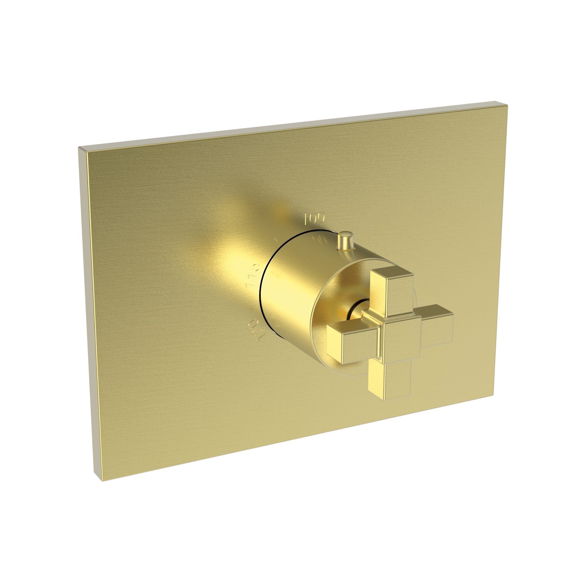 Newport Brass Malvina® 3/4" Square Thermostatic Trim Plate with Handle