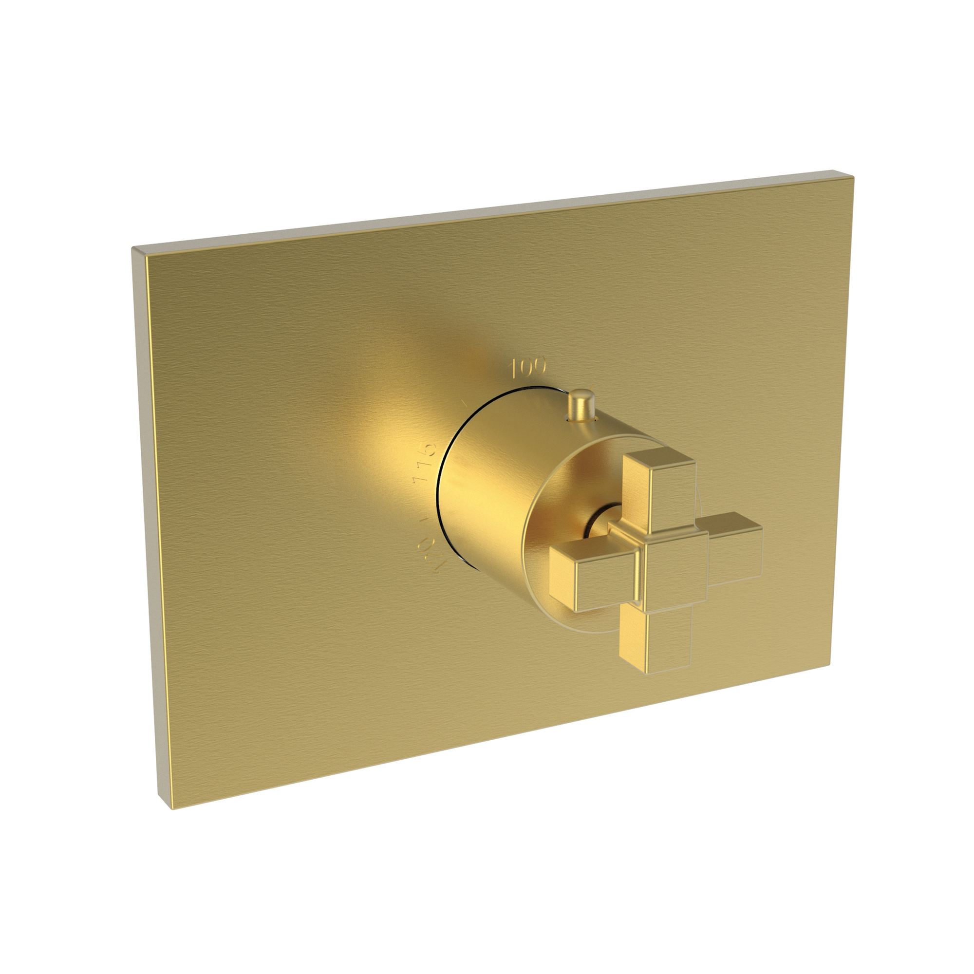 Newport Brass Malvina® 3/4" Square Thermostatic Trim Plate with Handle
