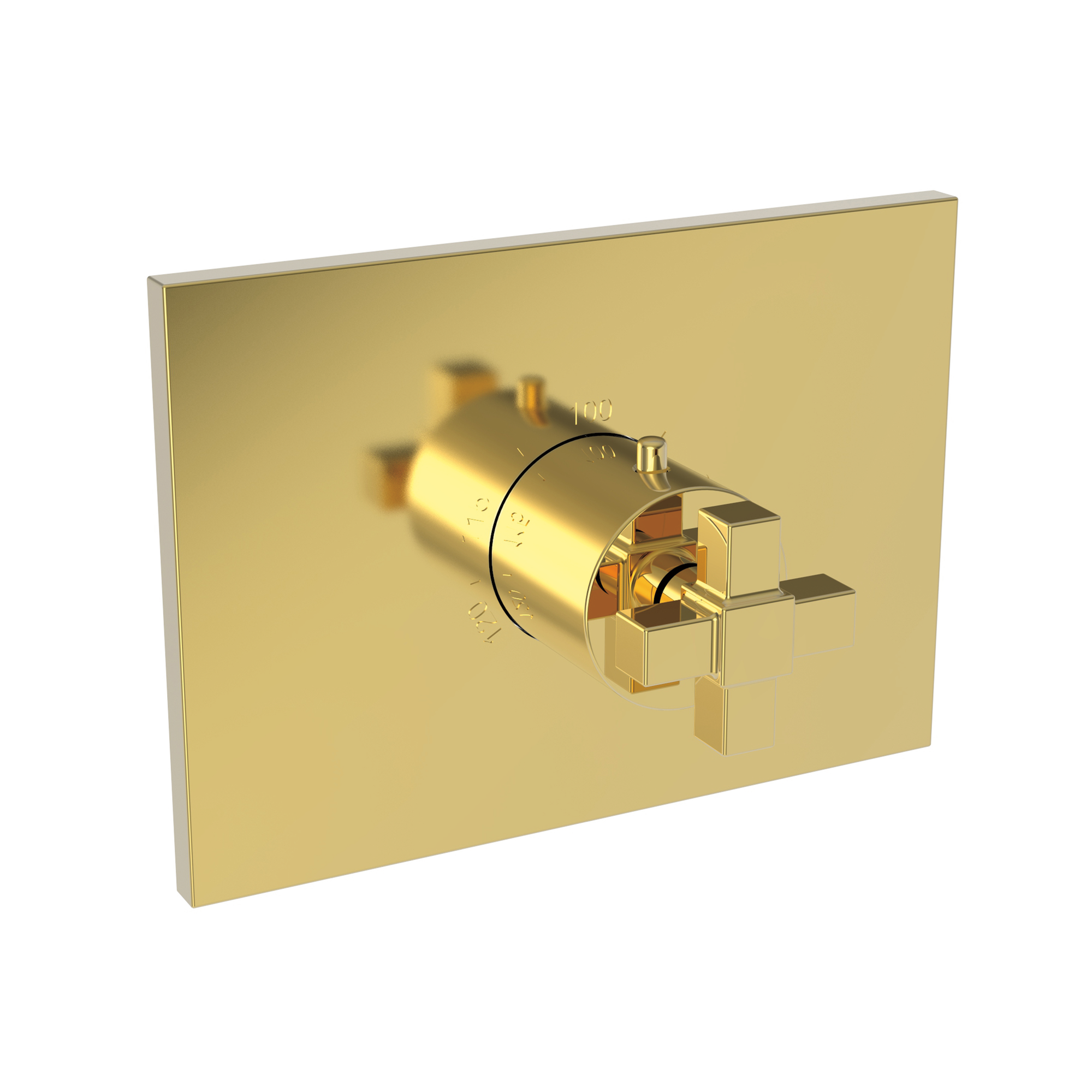 Newport Brass Malvina® 3/4" Square Thermostatic Trim Plate with Handle