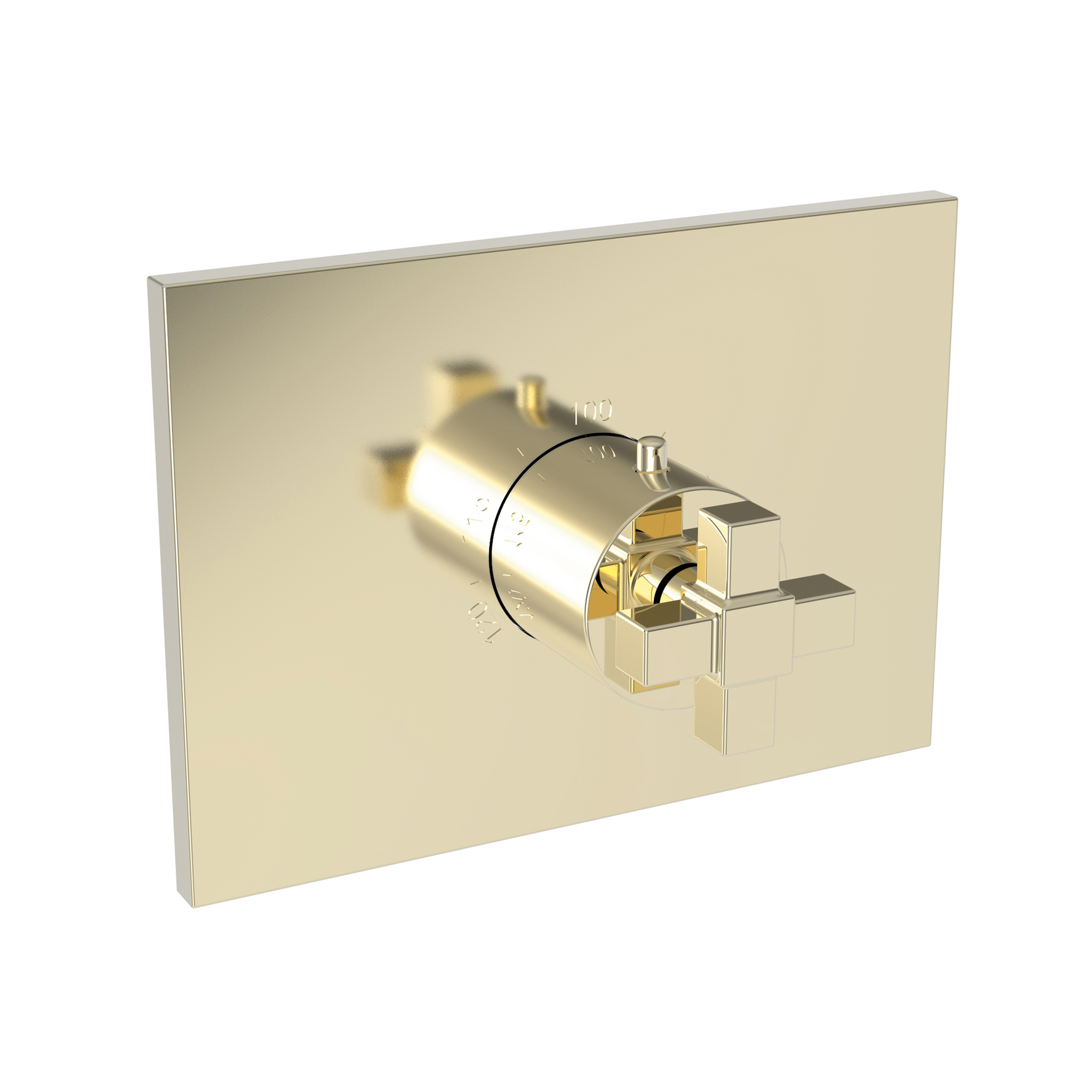 Newport Brass Malvina® 3/4" Square Thermostatic Trim Plate with Handle