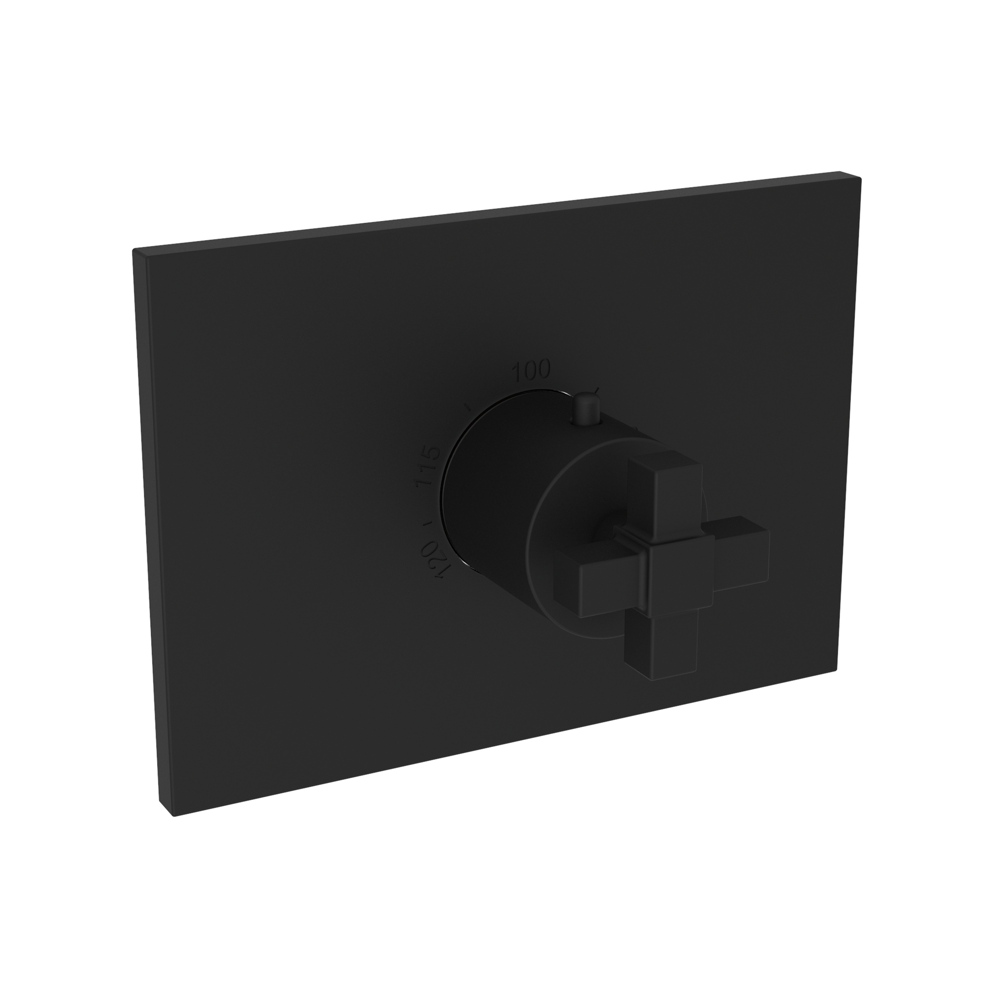 Newport Brass Malvina® 3/4" Square Thermostatic Trim Plate with Handle